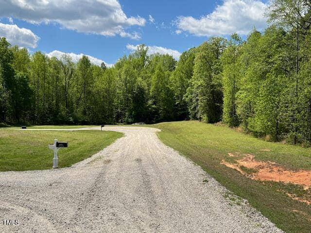 A gravel road curves through a grassy area bordered by dense, green trees under a partly cloudy sky. A white mailbox stands beside the road on the left side of the image.