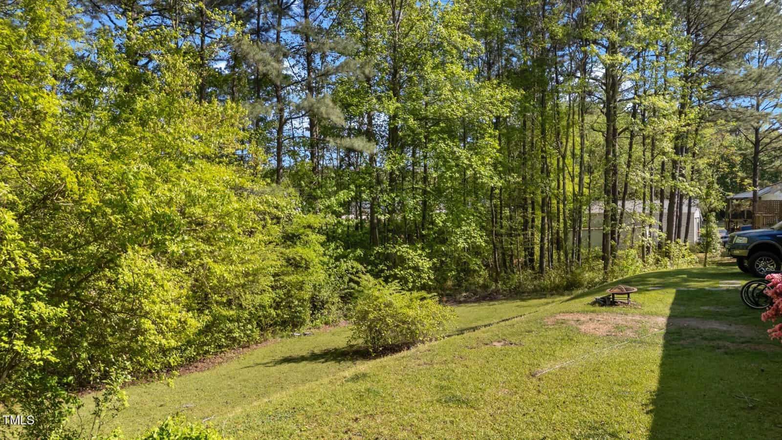 A grassy backyard with a small shrub in the center, bordered by dense green trees. There are vehicles and a bench visible near the right edge of the image, and sunlight filters through the foliage.