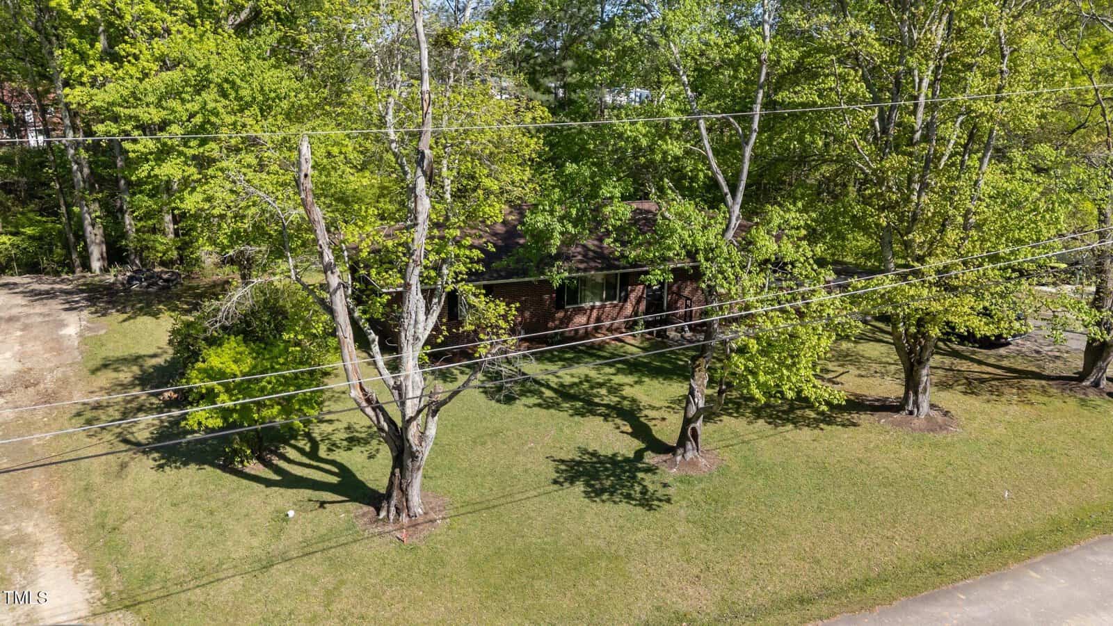 A brick house partially obscured by several tall trees with green leaves, set on a grassy lawn. Utility lines run across the foreground, and there is a dirt driveway to the left.
