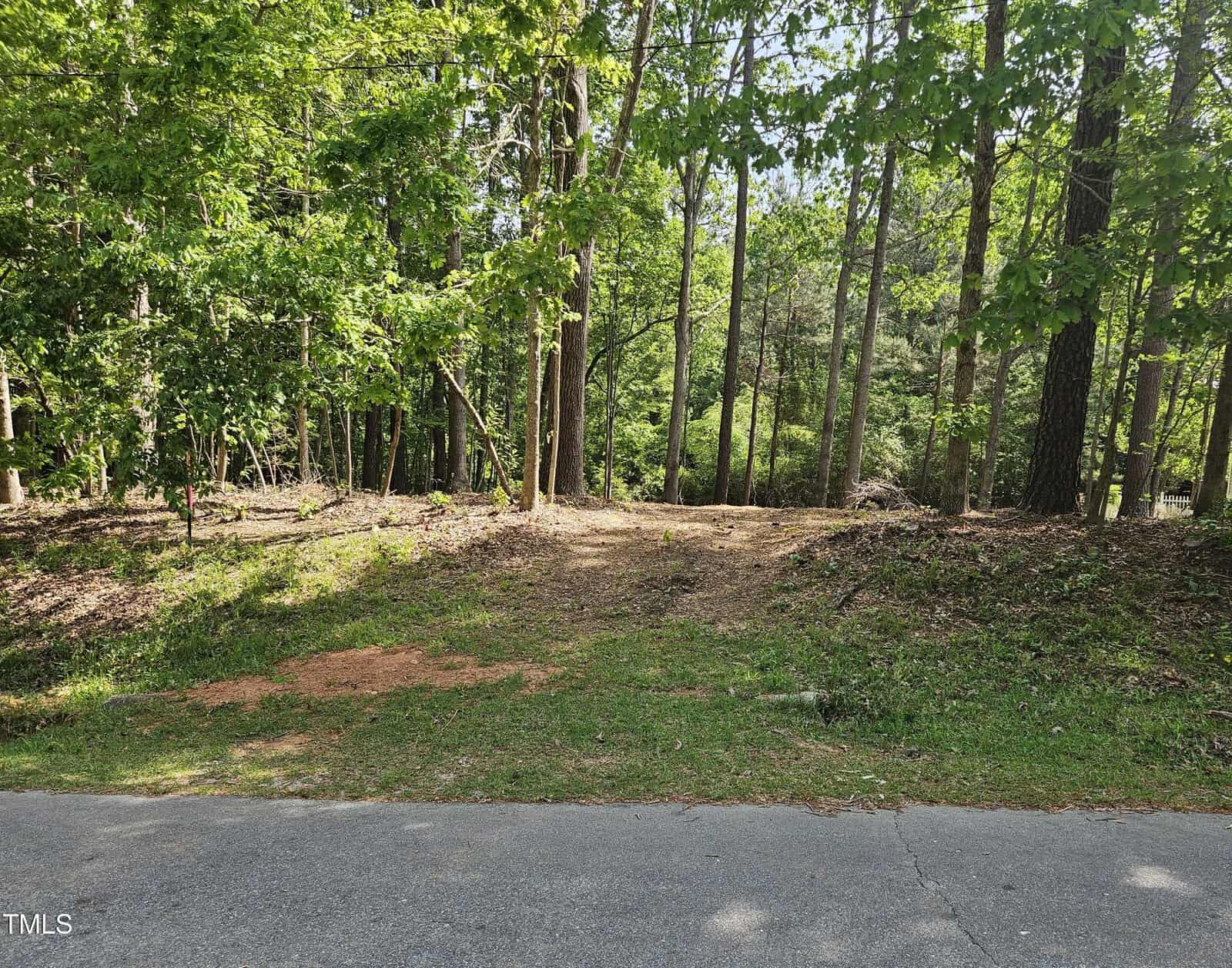 A paved road borders a grassy, slightly cleared area that leads into a dense forest with tall green trees under daylight. Some patches of dirt and fallen leaves are visible on the ground.