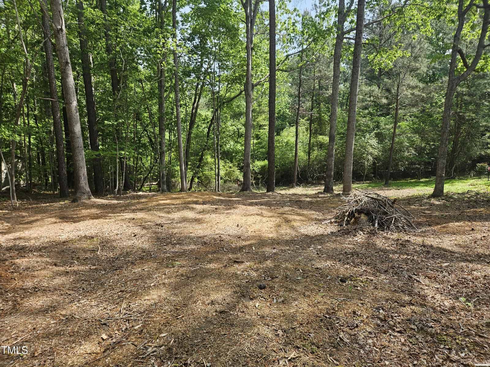 A clearing in a wooded area with tall trees and scattered branches on the ground. Sunlight filters through the leaves, and there is a pile of sticks toward the right side of the image.