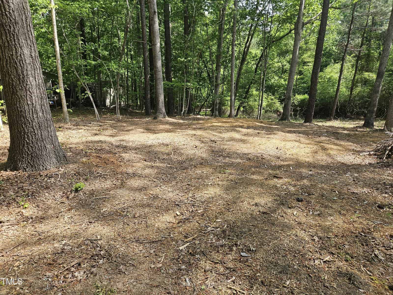 A cleared area of forest ground with tall trees and scattered sunlight. The forest floor is covered with dry leaves and pine needles, and greenery surrounds the clearing. No people or structures are visible.