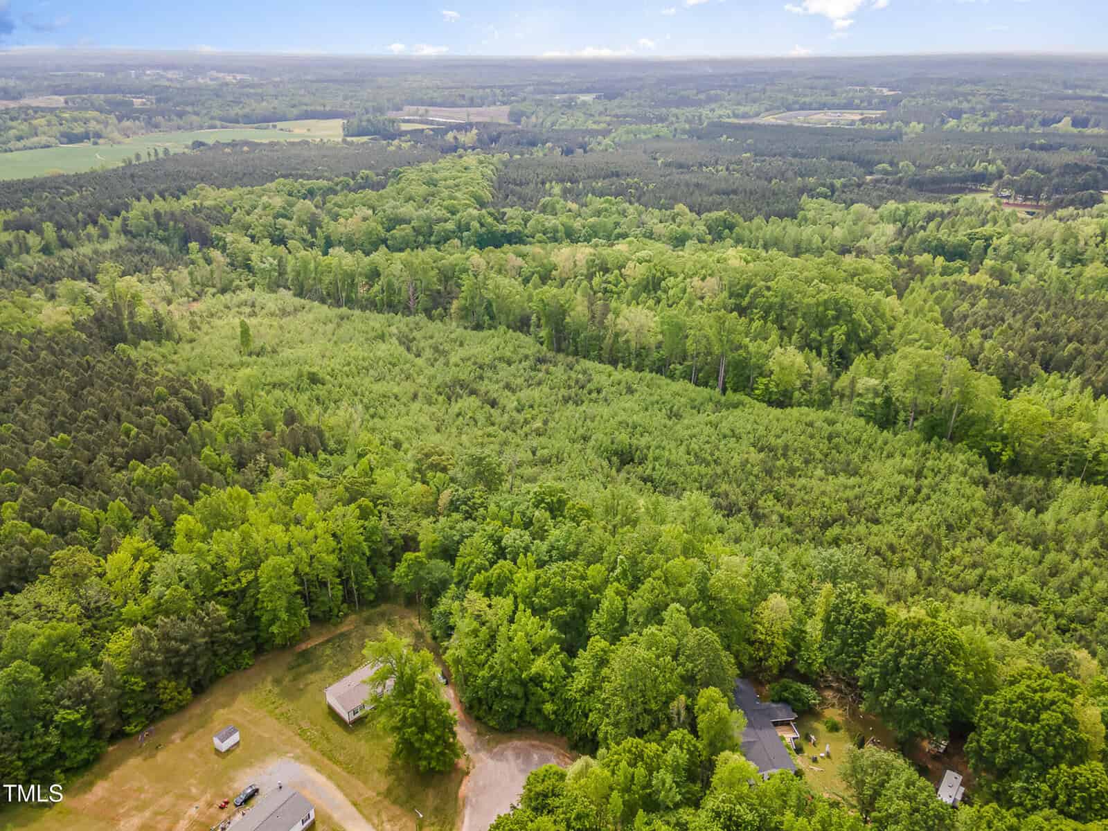 Aerial view of a large, forested landscape with dense green trees, a few scattered houses near the bottom, and clear sky above. The land stretches out to the horizon, showing a mix of open and wooded areas.