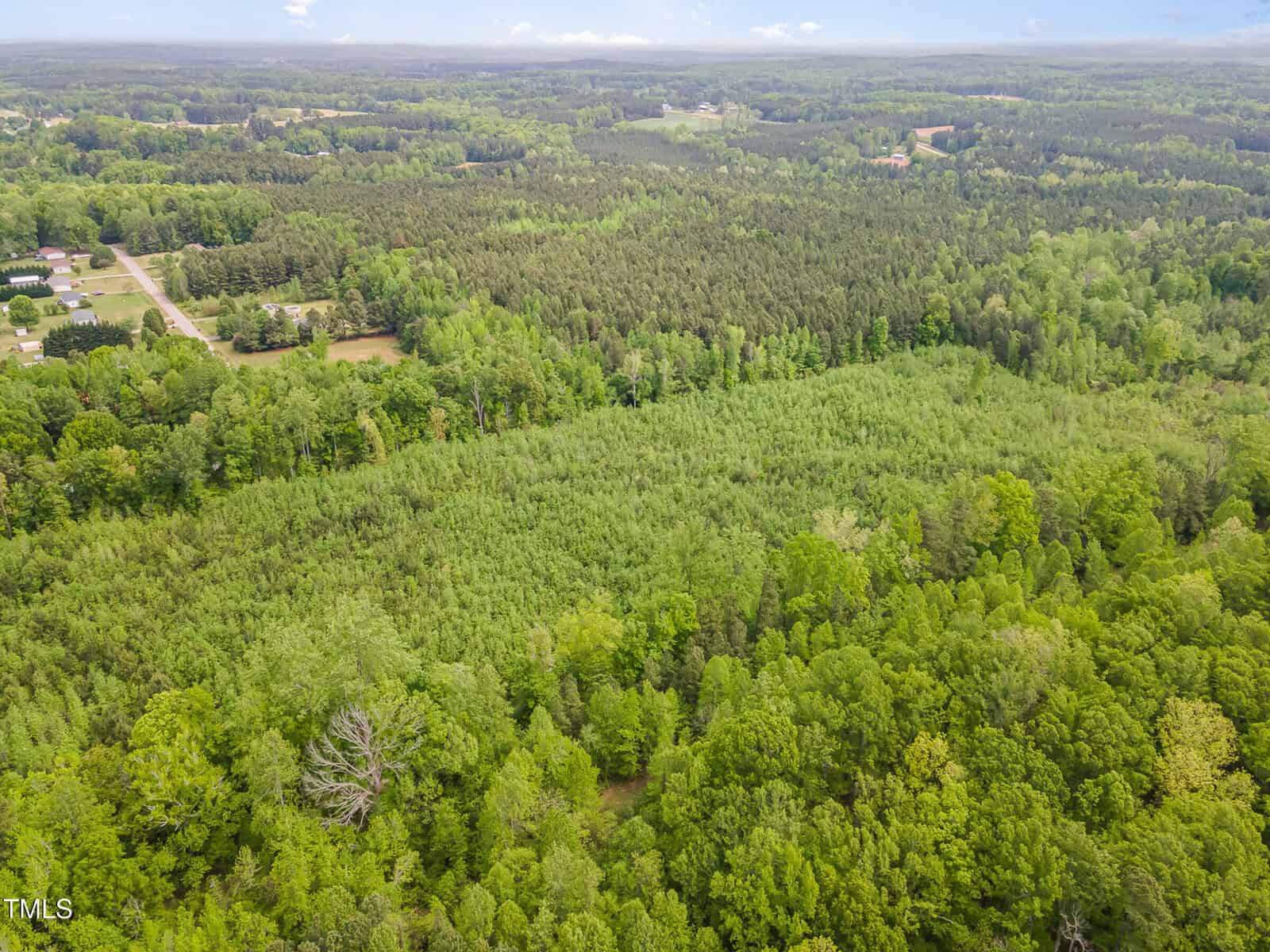 Aerial view of a large expanse of dense forest with a mix of tall and young trees, bordered by scattered houses and open patches of greenery on the left side, under a partly cloudy sky.