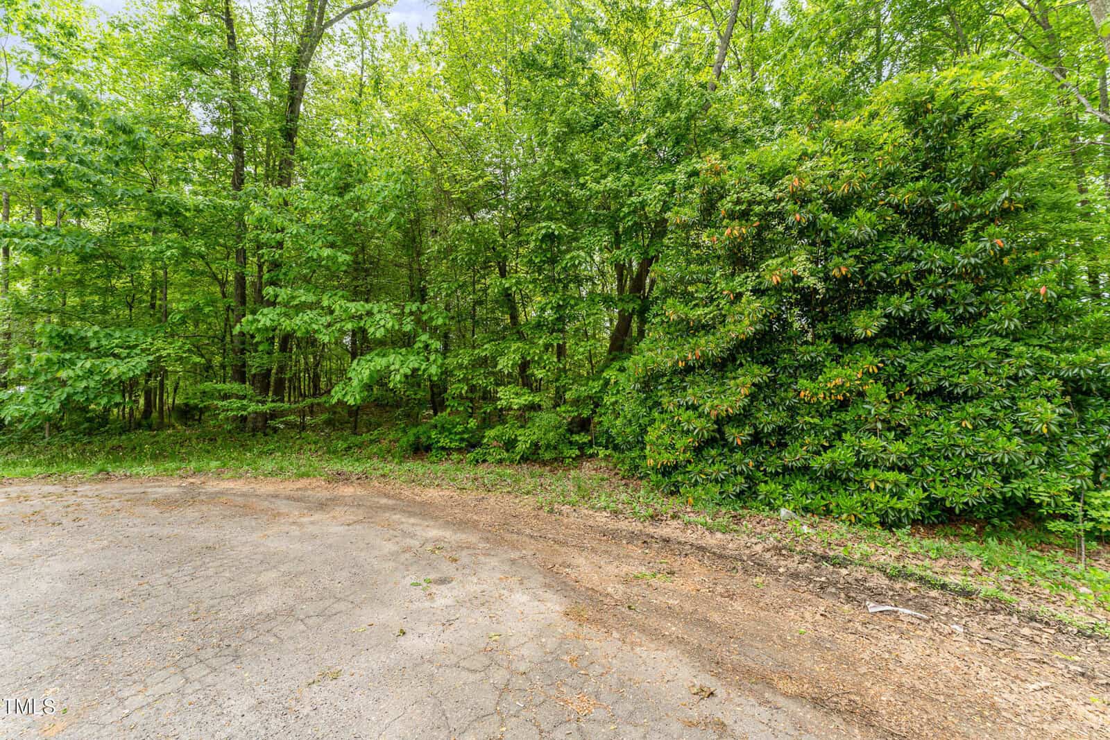 A paved road ends at the edge of a wooded area with dense green trees and bushes. The ground near the road shows some dirt and fallen leaves. The scene is lush and appears to be in spring or summer.