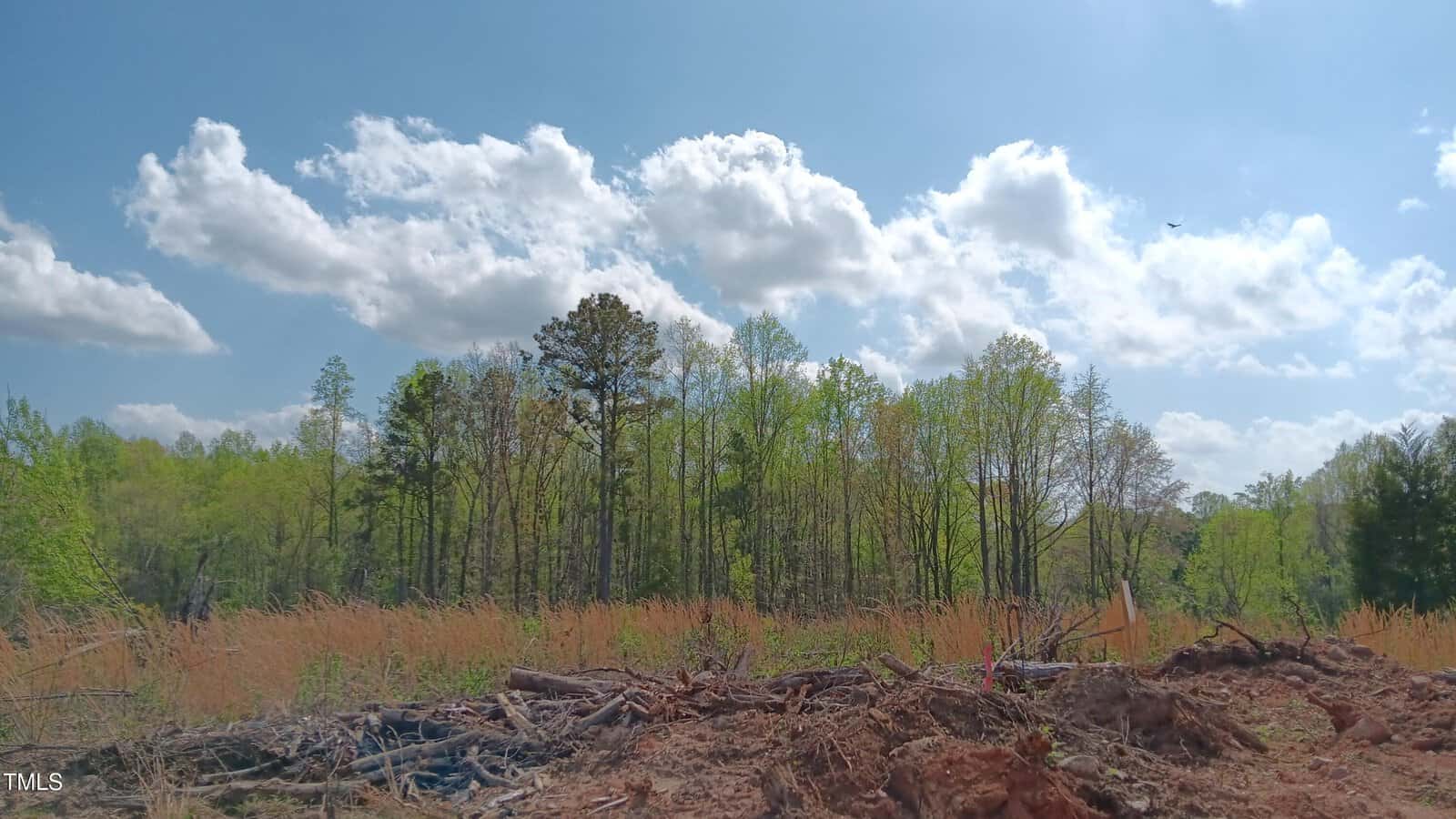 A partly cloudy sky above a forest with tall green trees in the background and a cleared, brown area with scattered branches and dry grass in the foreground.