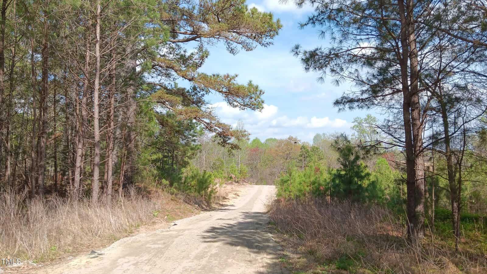 A dirt road runs through a rural area surrounded by pine trees and dry grass under a blue sky with scattered clouds.