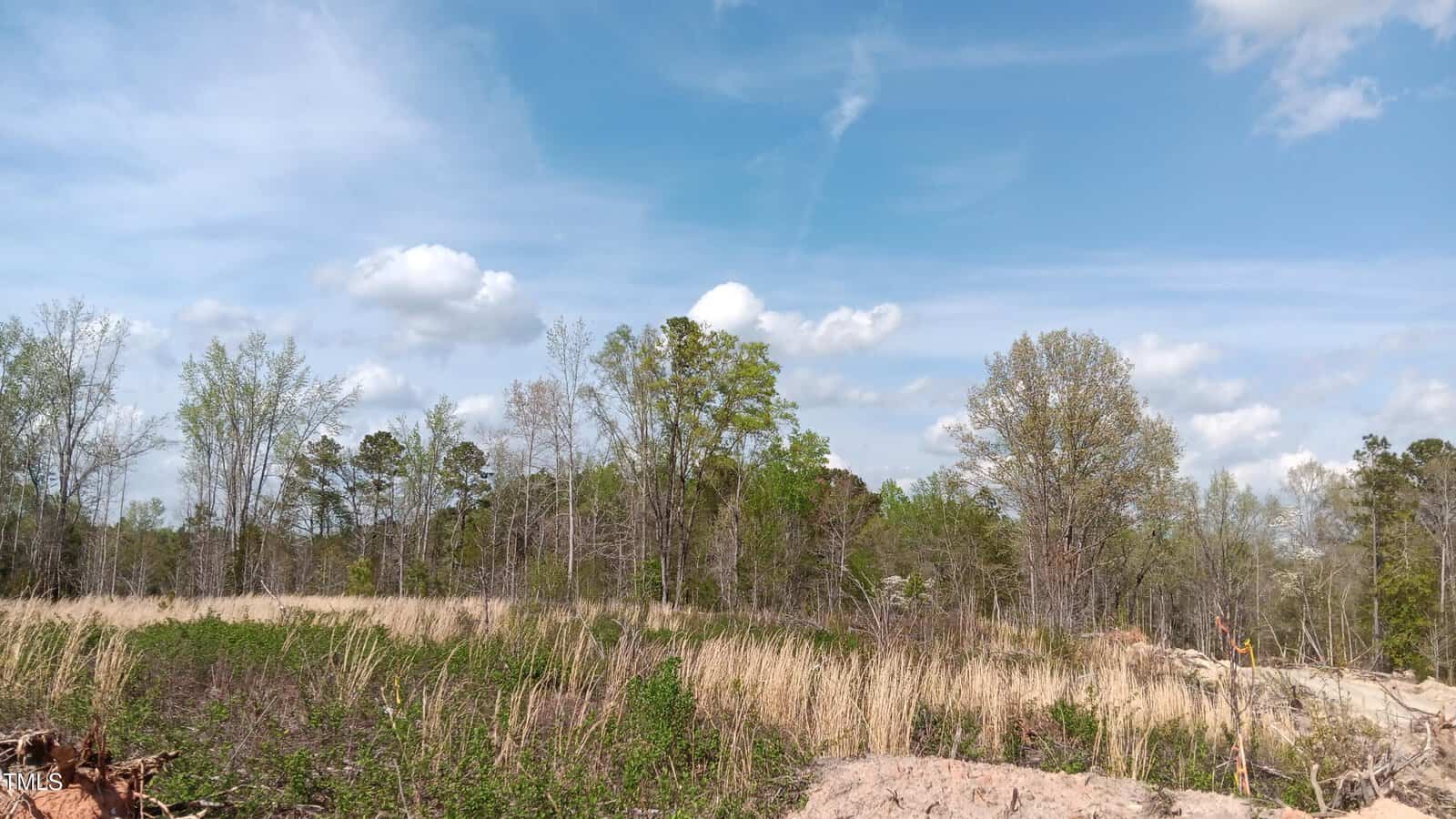 A grassy field with dry tall grass and scattered green trees under a partly cloudy blue sky. A patch of exposed soil is visible in the foreground.