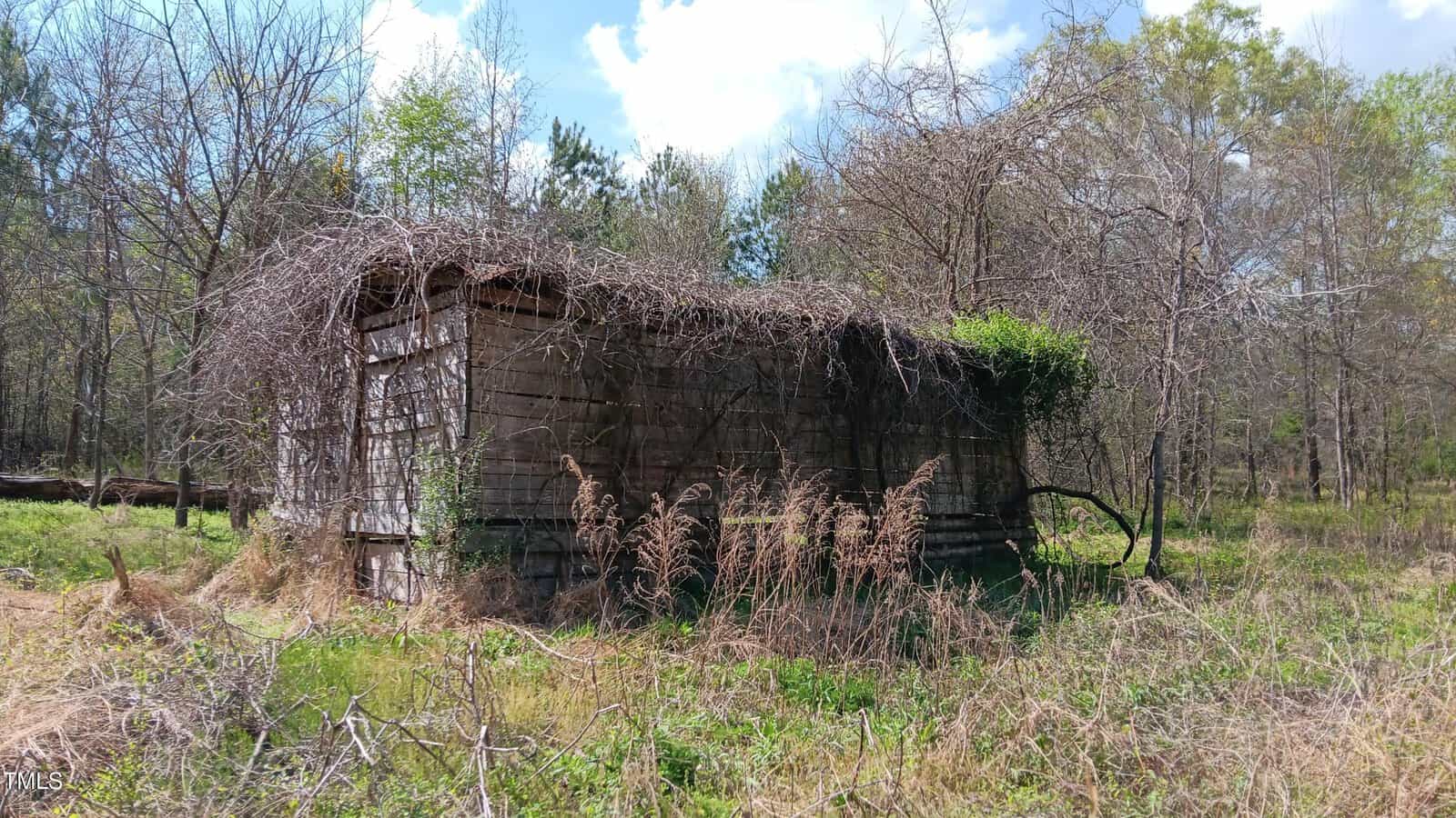 An old, weathered wooden building stands in a field, covered by overgrown vines and surrounded by tall grass and leafless trees under a partly cloudy sky.