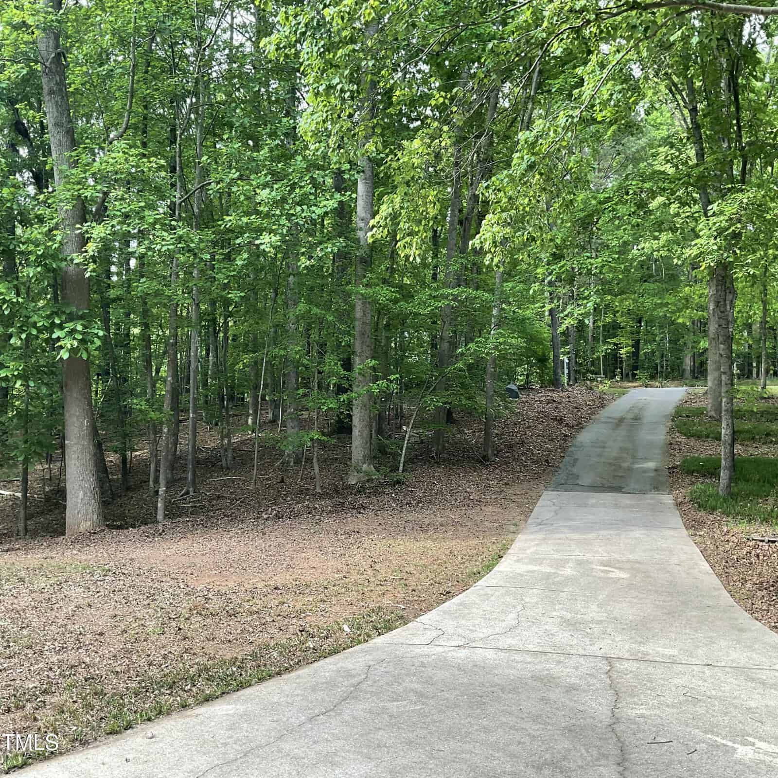 A paved driveway curves through a wooded area with tall trees and green foliage. The ground next to the driveway is covered with dry leaves and sparse grass. The scene appears calm and shaded.