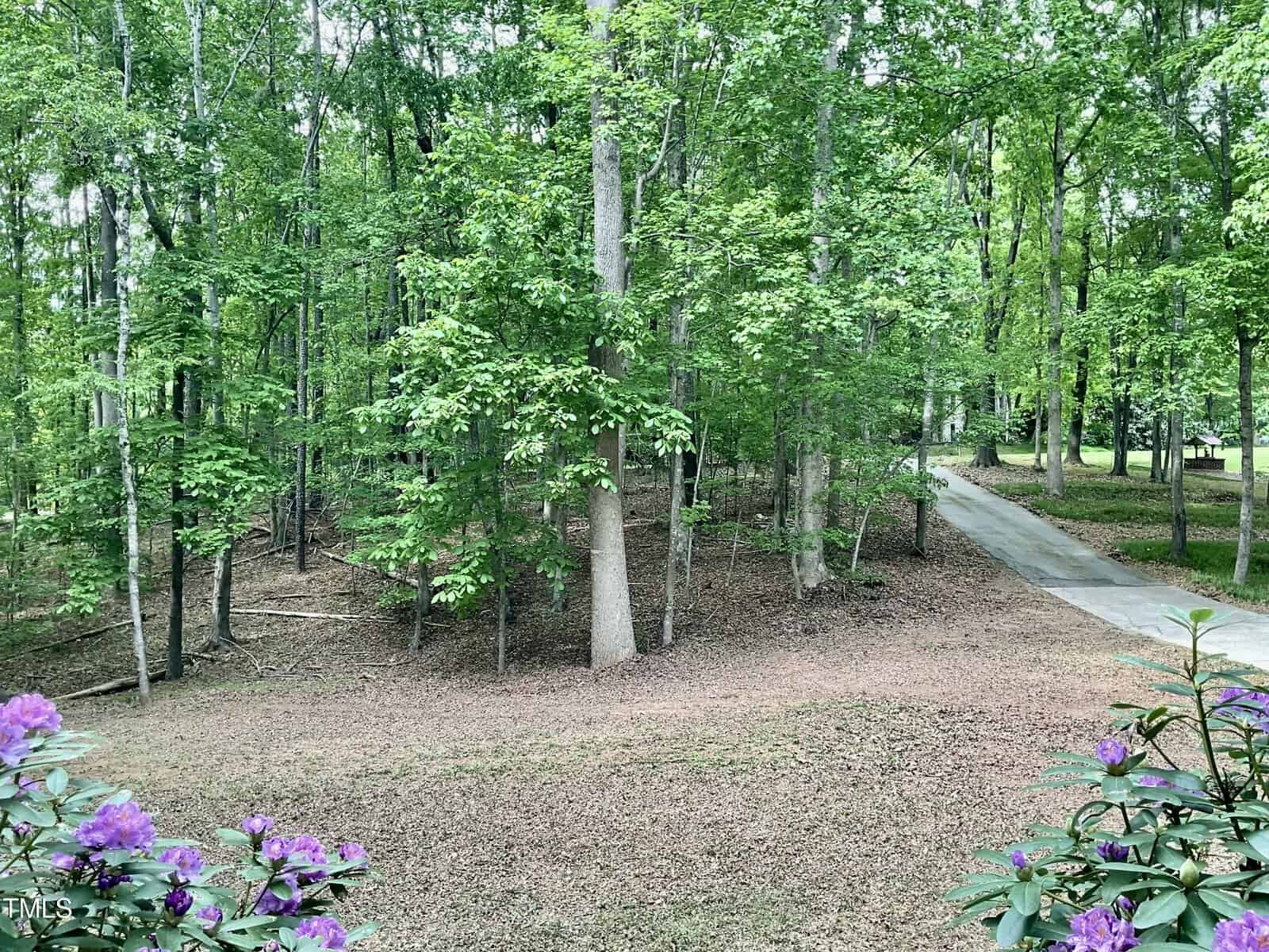 A paved driveway curves through a wooded area with tall trees and green foliage. The ground is covered with brown leaves, and purple flowers are visible in the foreground.