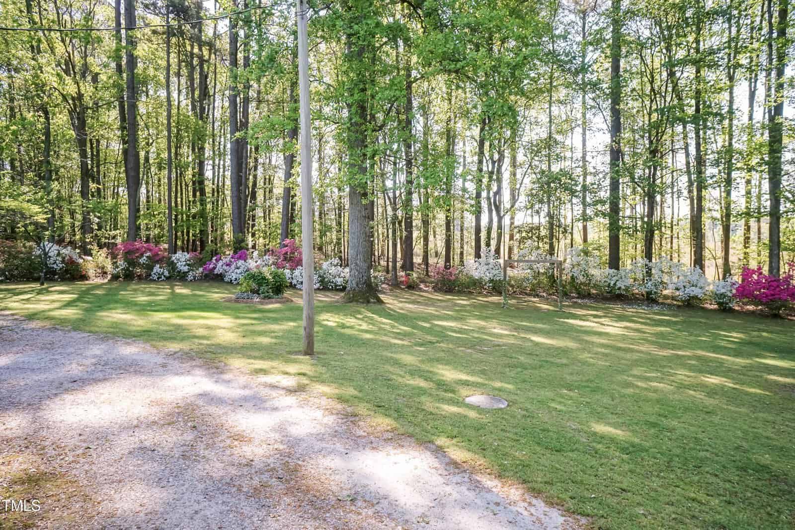 A grassy yard bordered by tall trees, with blooming bushes in pink, white, and purple along the edge. Sunlight filters through the trees, and a gravel path runs along the left side.