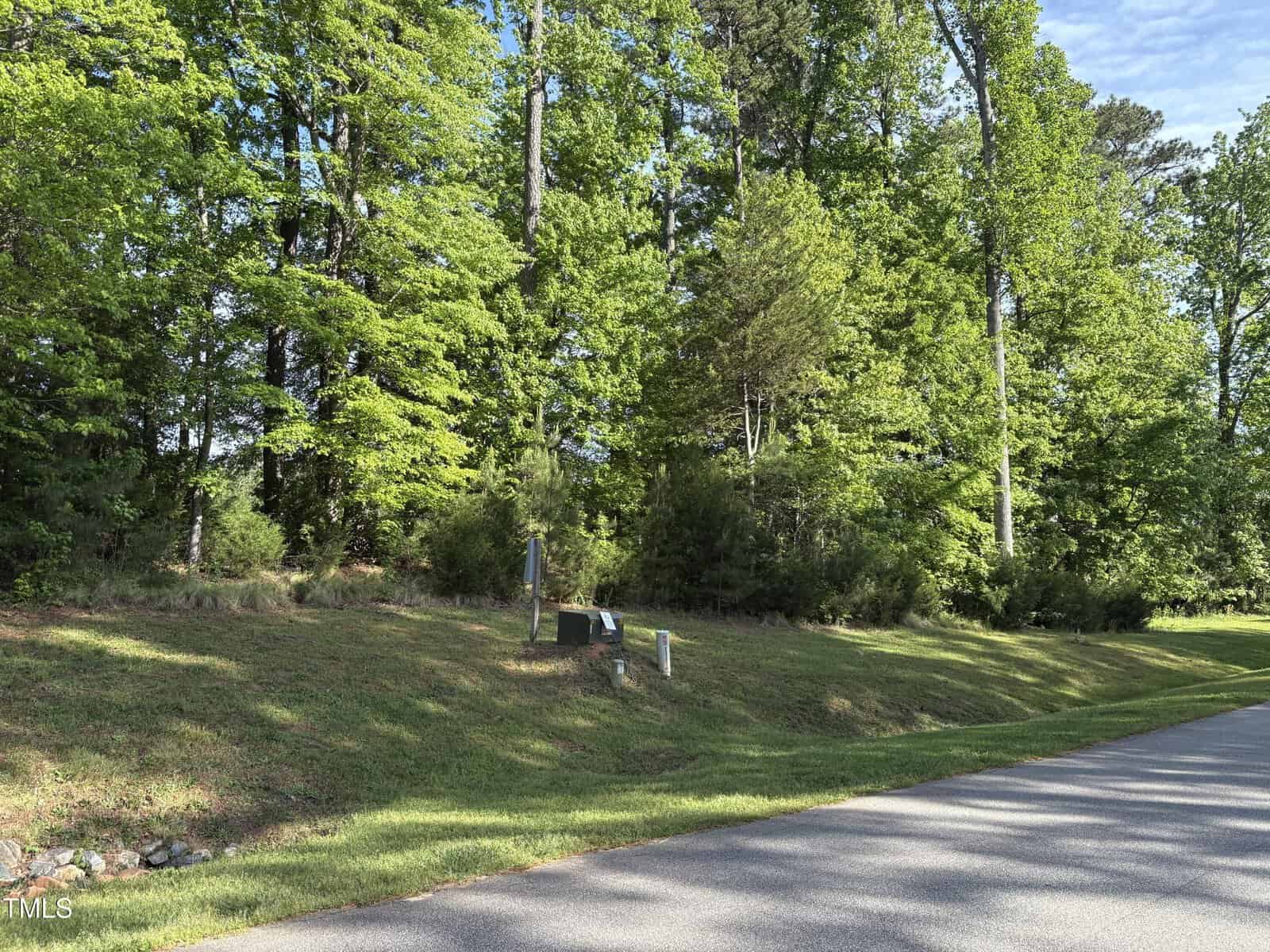 A paved road runs alongside a grassy, slightly sloped verge with two utility boxes near the edge. Dense green trees and shrubs fill the background under a partly cloudy sky.