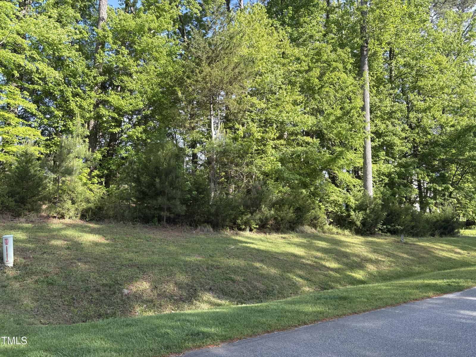 A paved road borders a grassy area with a slope leading up to dense green trees and shrubs; sunlight filters through the foliage. A small utility marker is visible on the left side of the image.