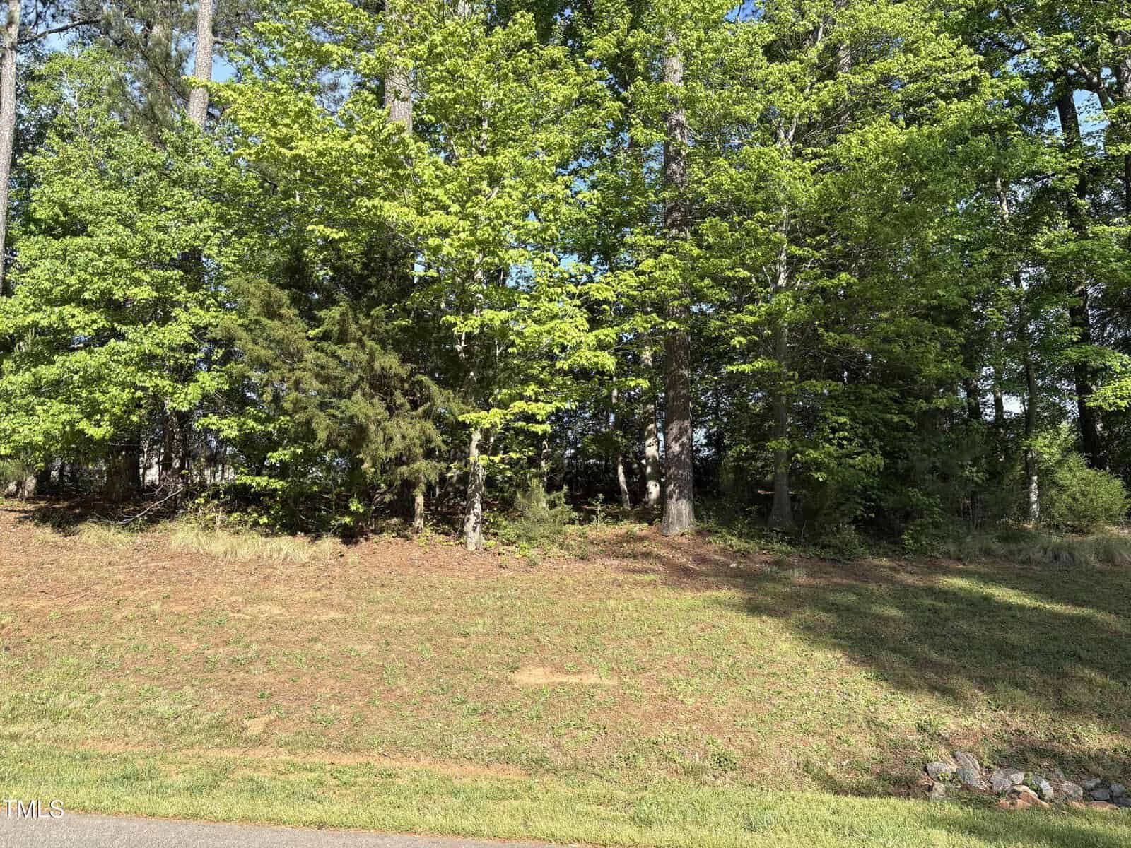 A grassy area with sparse patches of dirt in front of a line of tall trees with green foliage under a clear sky. The edge of a paved road is visible at the bottom of the image.