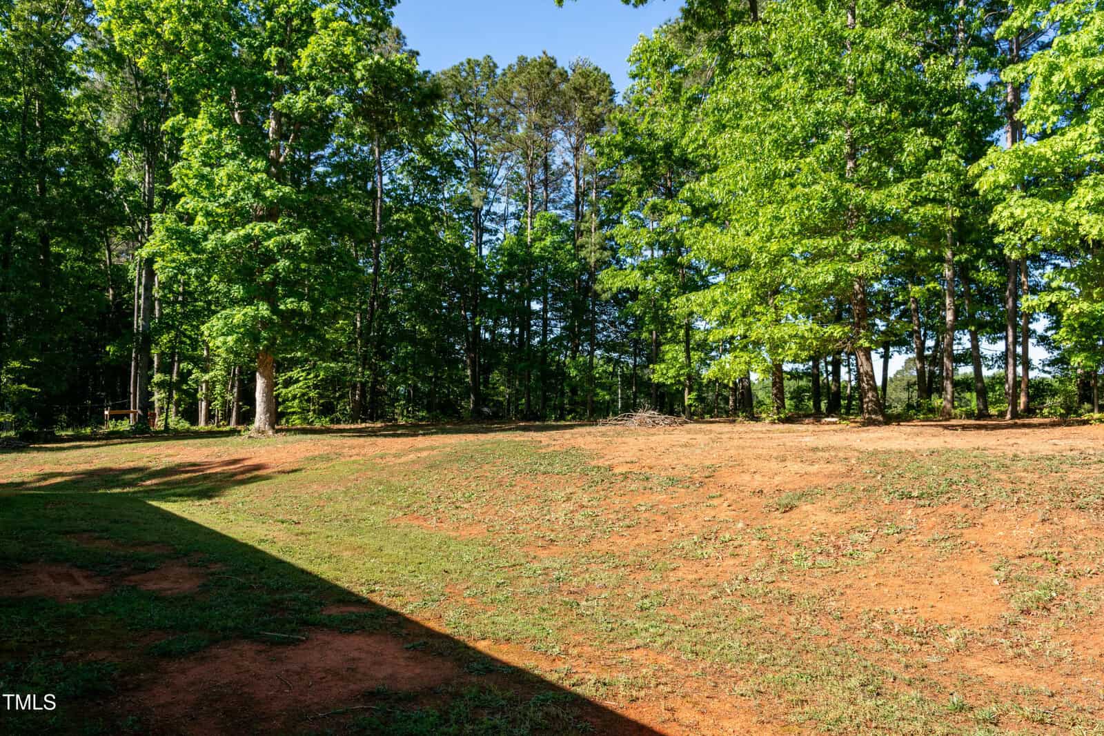 A sloped, partially grassy yard with patches of bare soil, surrounded by tall green trees under a clear blue sky. A shadow from a building is visible in the lower left corner.