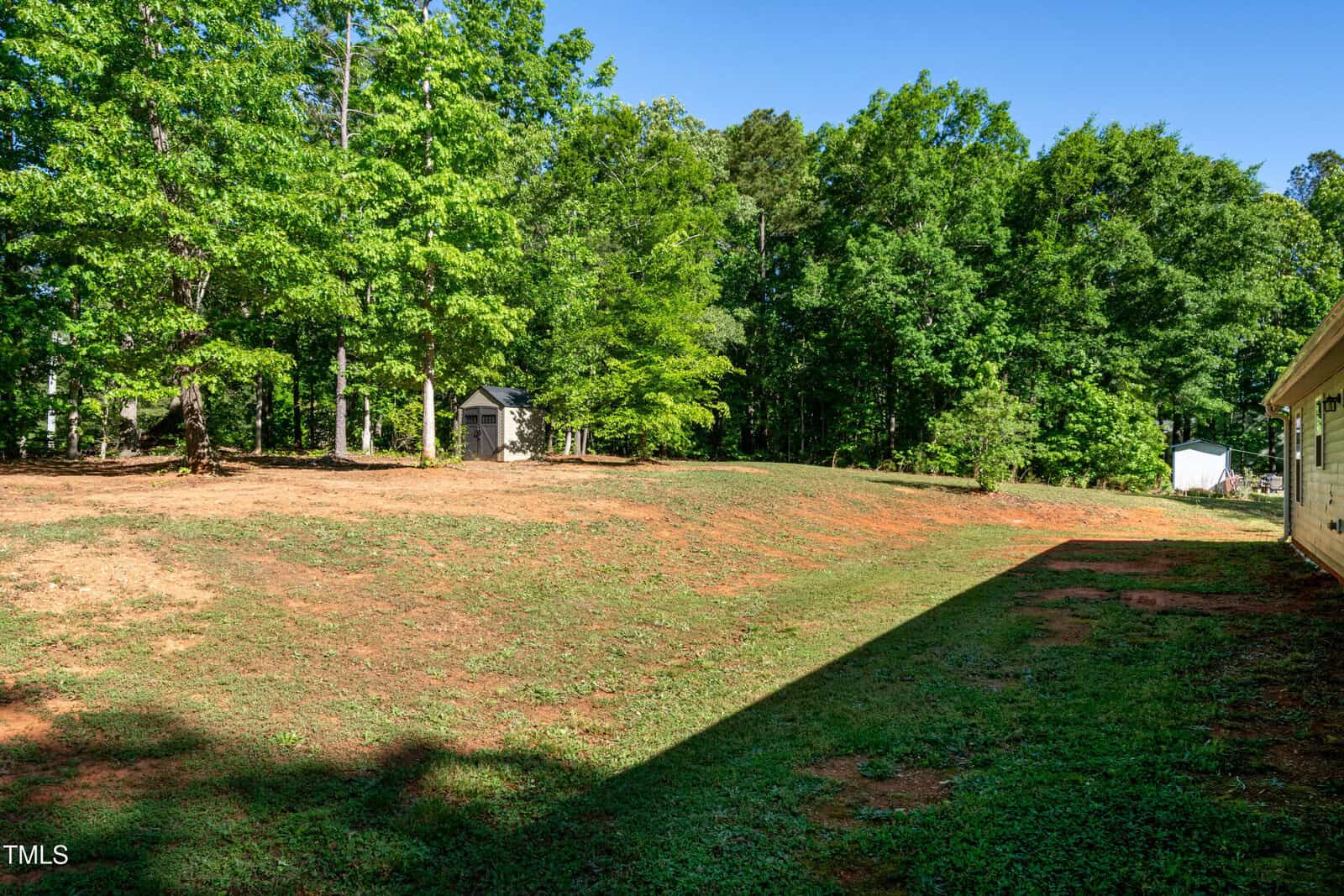A spacious backyard with patchy grass and red soil, bordered by a dense line of green trees. A small shed is visible near the trees, and sunlight casts shadows from a nearby building.