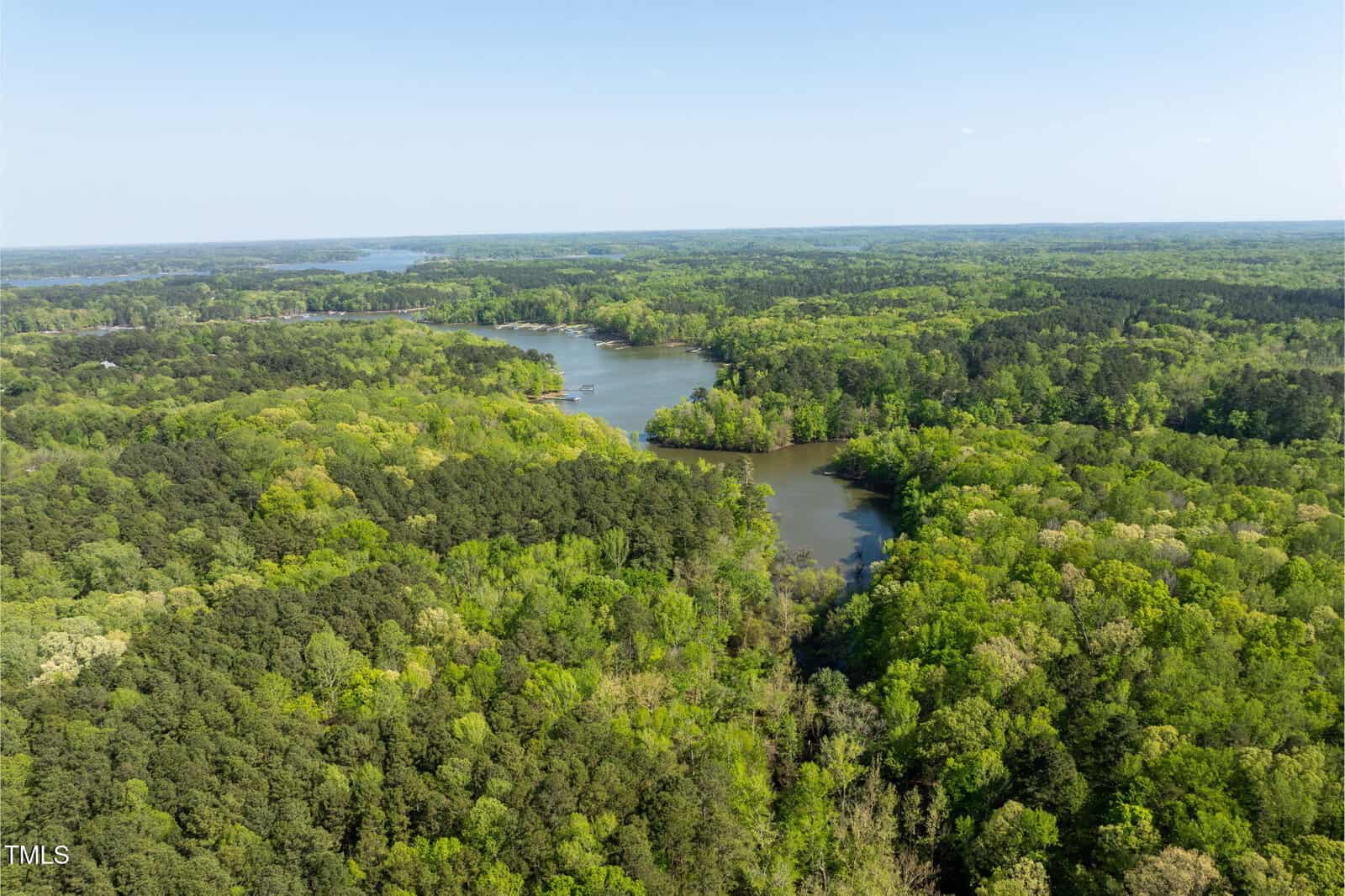 Aerial view of a winding river surrounded by dense, green forest under a clear blue sky. The landscape is lush and expansive, with trees covering most of the visible land.