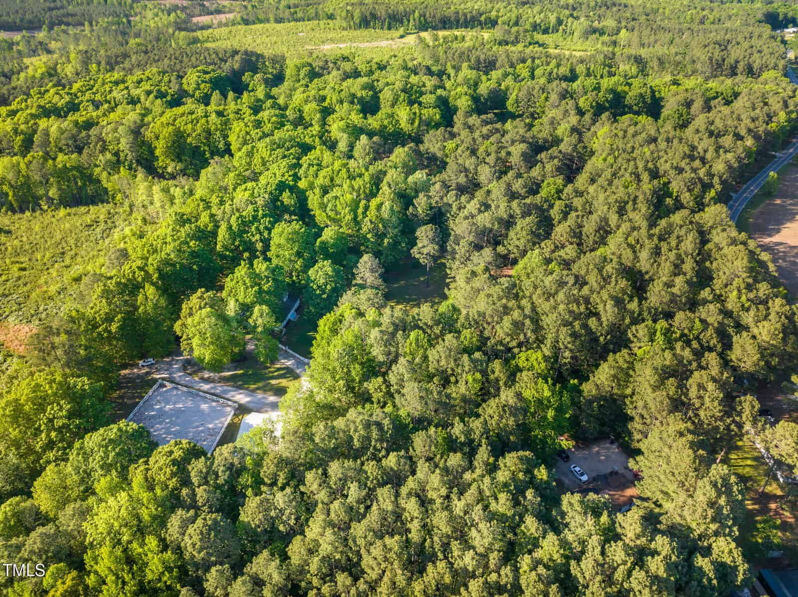 Aerial view of a wooded area with dense green trees, a few buildings partially visible among the foliage, a narrow road, and a parked car. Open fields and more trees are seen in the background.