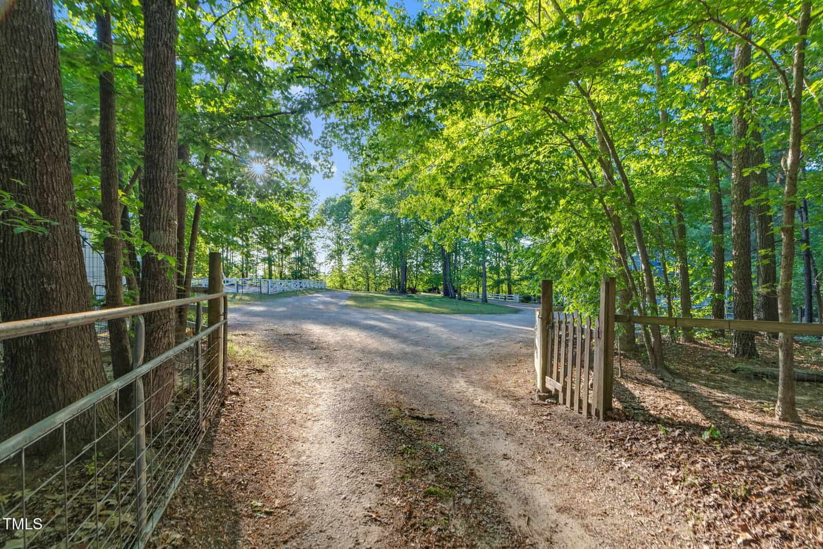 A sunlit dirt driveway lined with trees and a wooden fence leads to an open area under a clear blue sky, surrounded by lush green foliage.