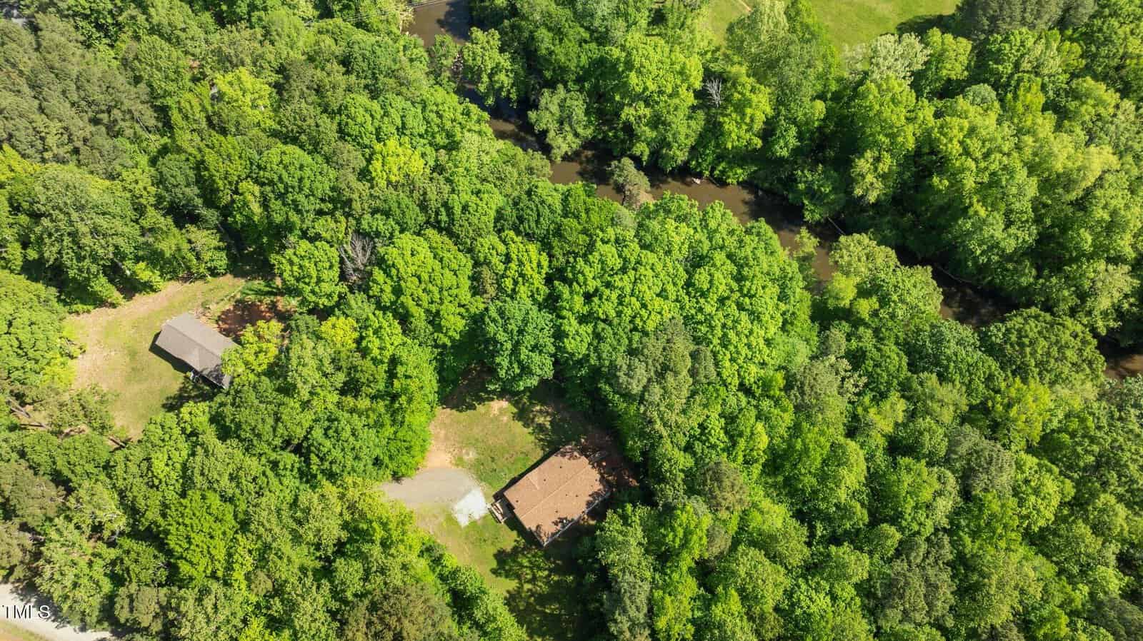 Aerial view of a wooded area with dense green trees, a small building with a brown roof in the center, a second structure on the left, and a narrow river running through the trees.