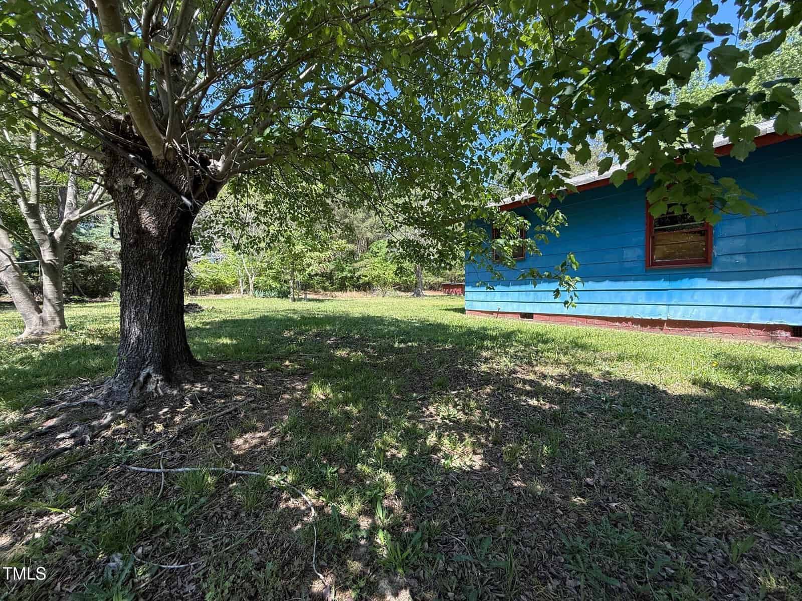 A large tree provides shade over a grassy yard next to a blue house with a red trim. The side of the house has a single window, and the scene is surrounded by green trees and clear blue sky.