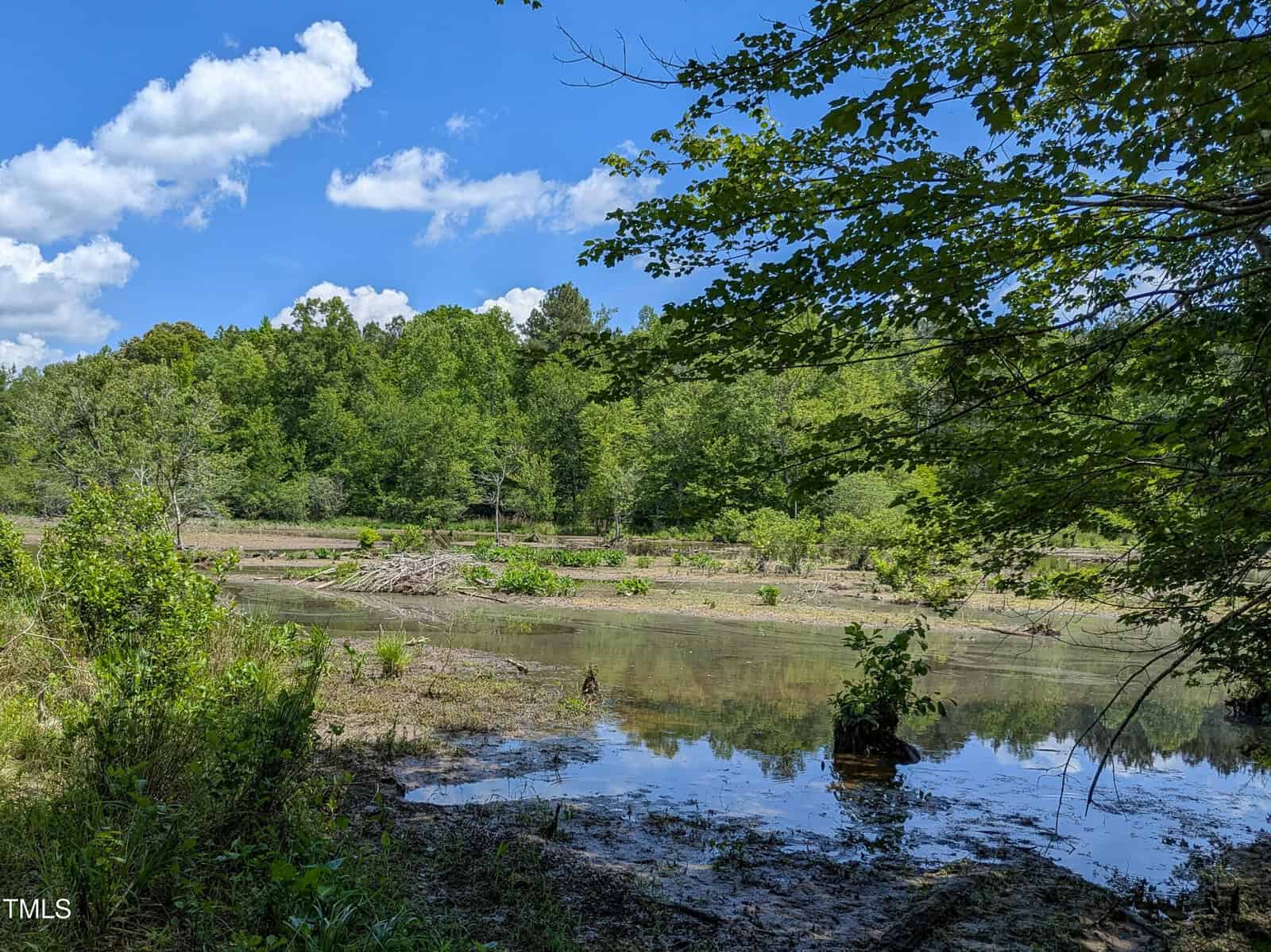 A small body of water surrounded by lush green trees and plants under a bright blue sky with scattered clouds. Sunlight filters through the foliage, casting shadows on the water and ground.