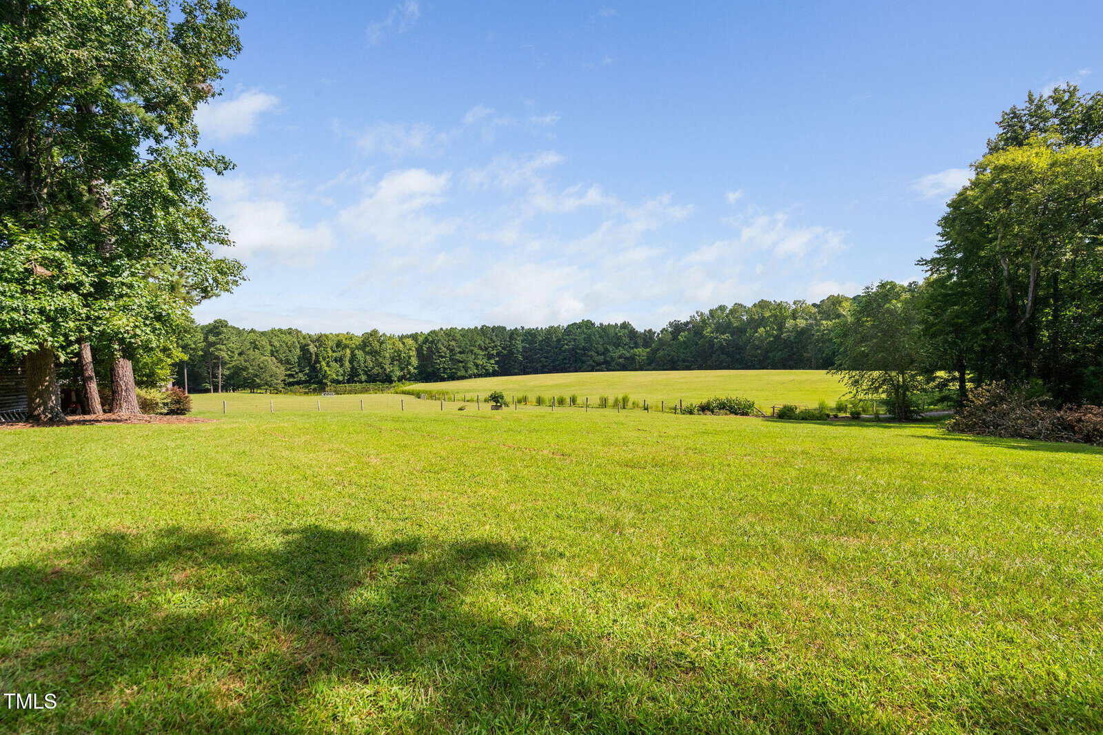A large, open grassy field bordered by trees under a clear blue sky with some clouds. Shadows from nearby trees fall across the grass in the foreground. A fence runs along the middle ground.