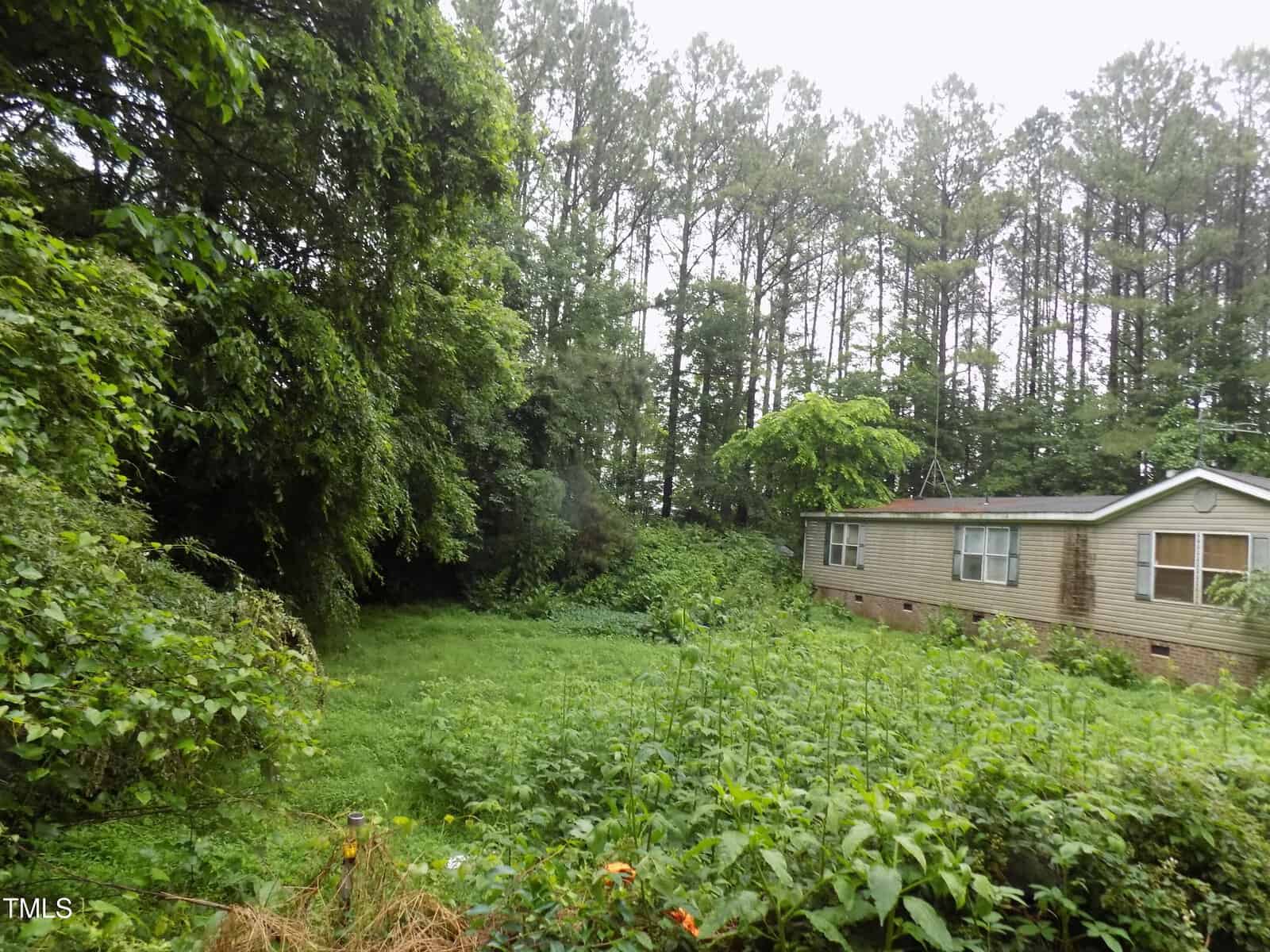 A beige manufactured home sits partially visible on the right, surrounded by dense greenery, overgrown plants, and tall pine trees under a cloudy sky.