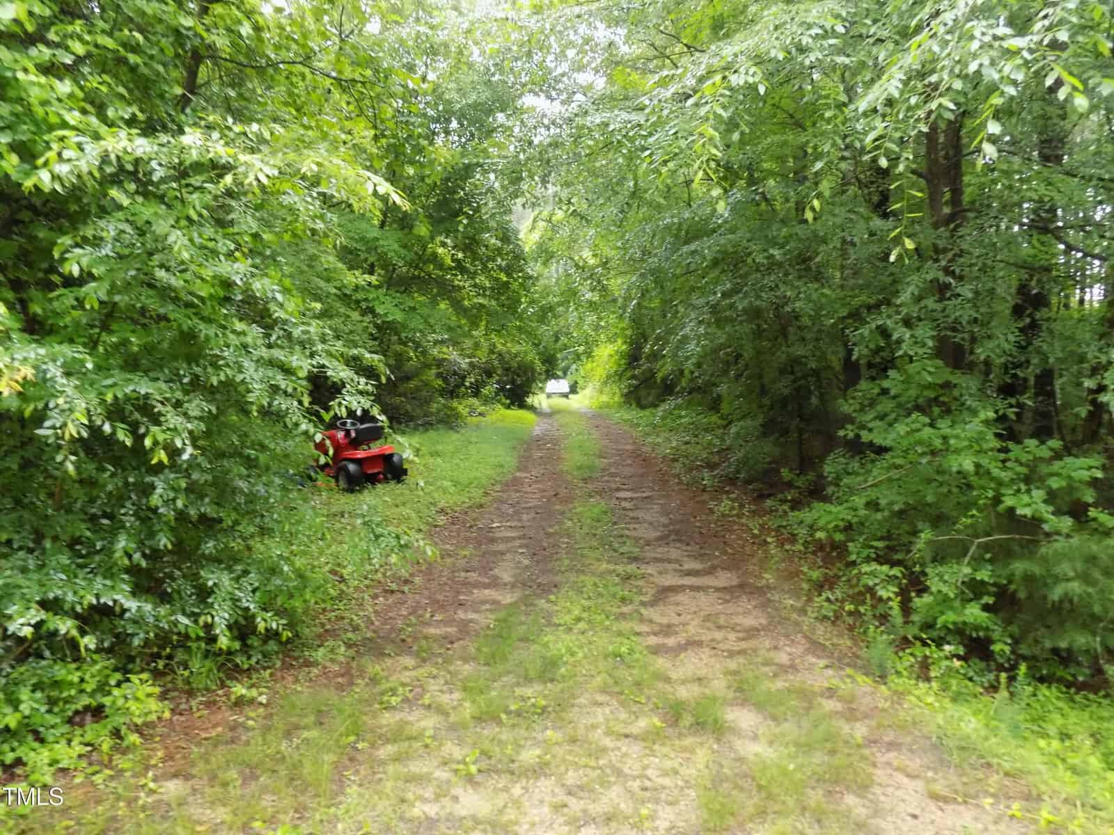 A dirt road runs through a lush, green forest. On the left side, a red lawnmower is partially hidden among tall grass and trees. The path continues into the distance, surrounded by dense foliage.