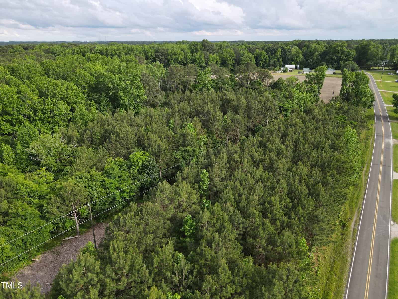Aerial view of a rural area with dense green forest, a narrow paved road running alongside, power lines cutting through the trees, and open fields with scattered buildings in the distance under a partly cloudy sky.