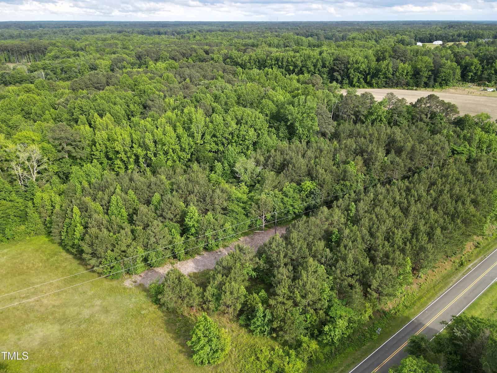 Aerial view of a large wooded area next to a road, with dense green trees and a small clearing near power lines. Farmland and more forest are visible in the background under a partly cloudy sky.
