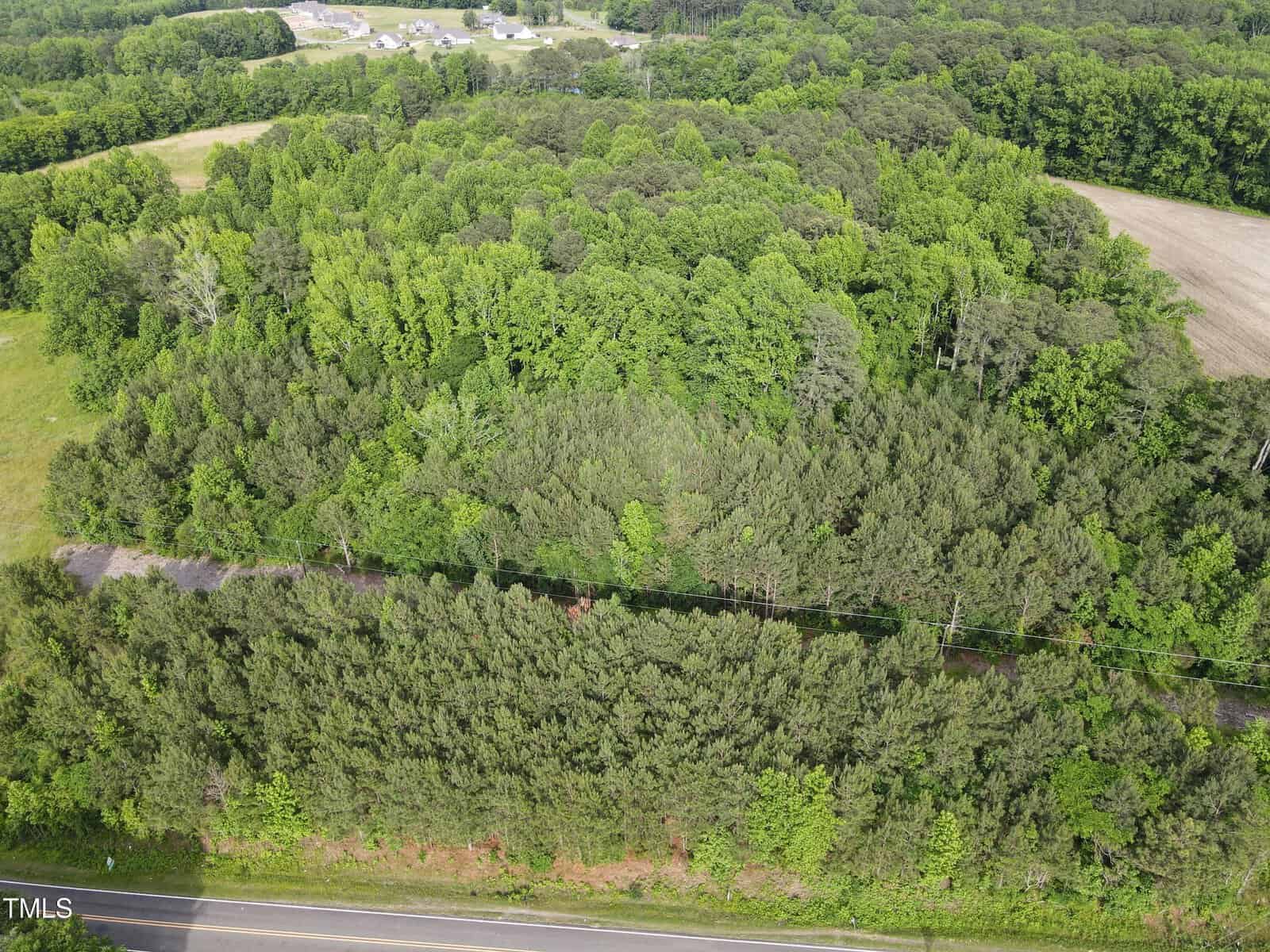 Aerial view of a dense, green forest with a road running along the bottom edge of the image, bordered by trees. Open fields and more forested areas are visible in the background.