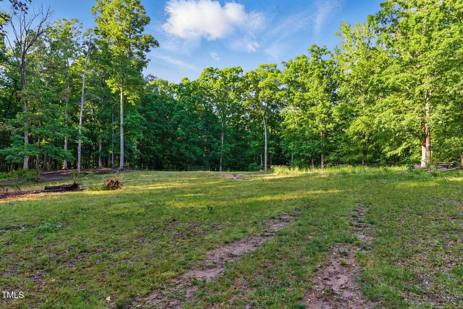 A grassy clearing with tire tracks runs through a partially shaded area bordered by dense green trees under a blue sky with scattered clouds.