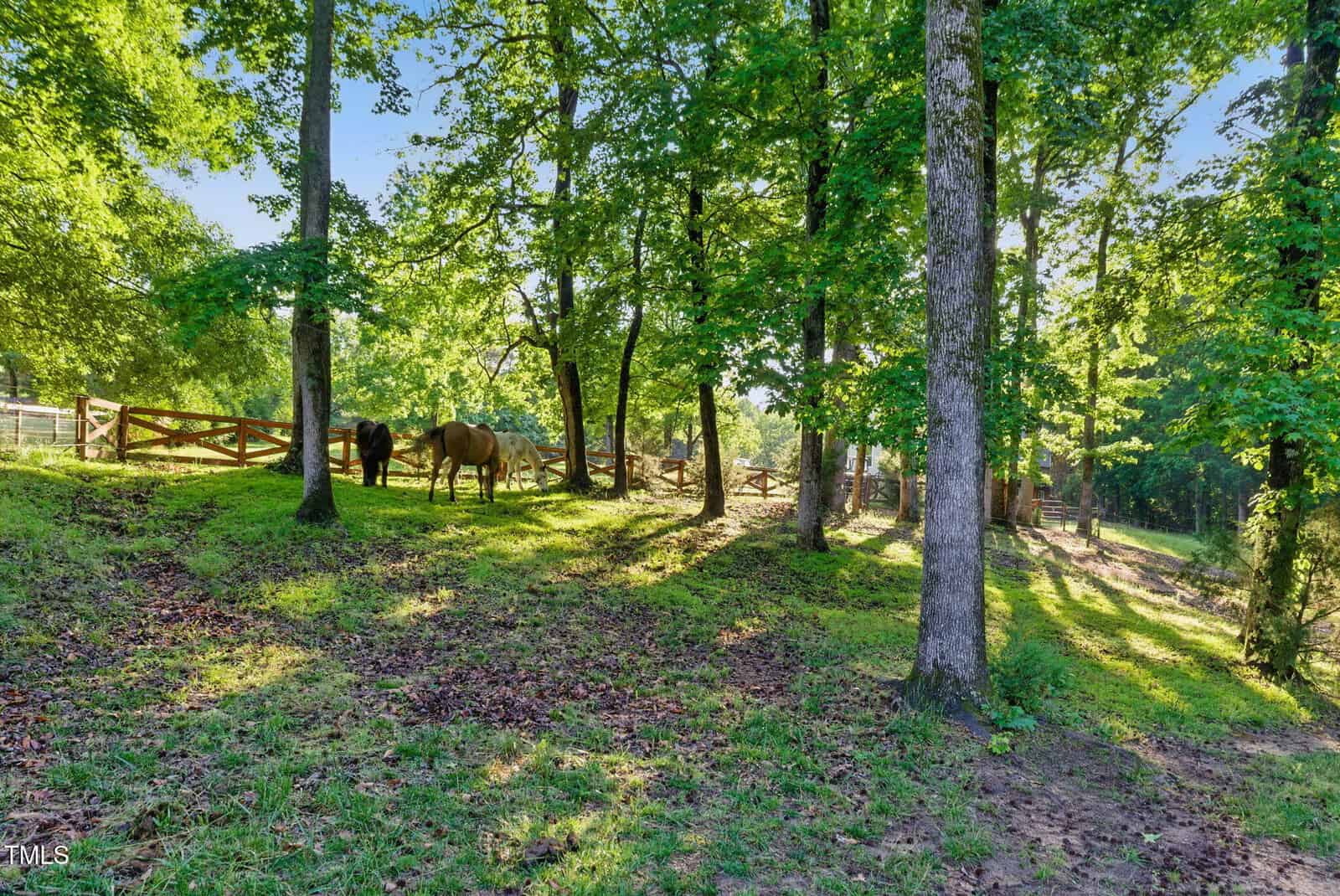 Two horses graze in a sunlit, wooded area with green grass and scattered leaves. Wooden fences and trees surround the pasture, and sunlight filters through the branches, creating patches of shade and light.