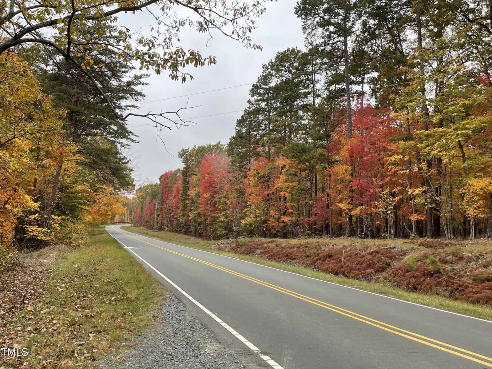 A two-lane road curves through a forest with trees displaying fall foliage in shades of red, orange, and yellow under an overcast sky. Fallen leaves cover parts of the ground beside the road.
