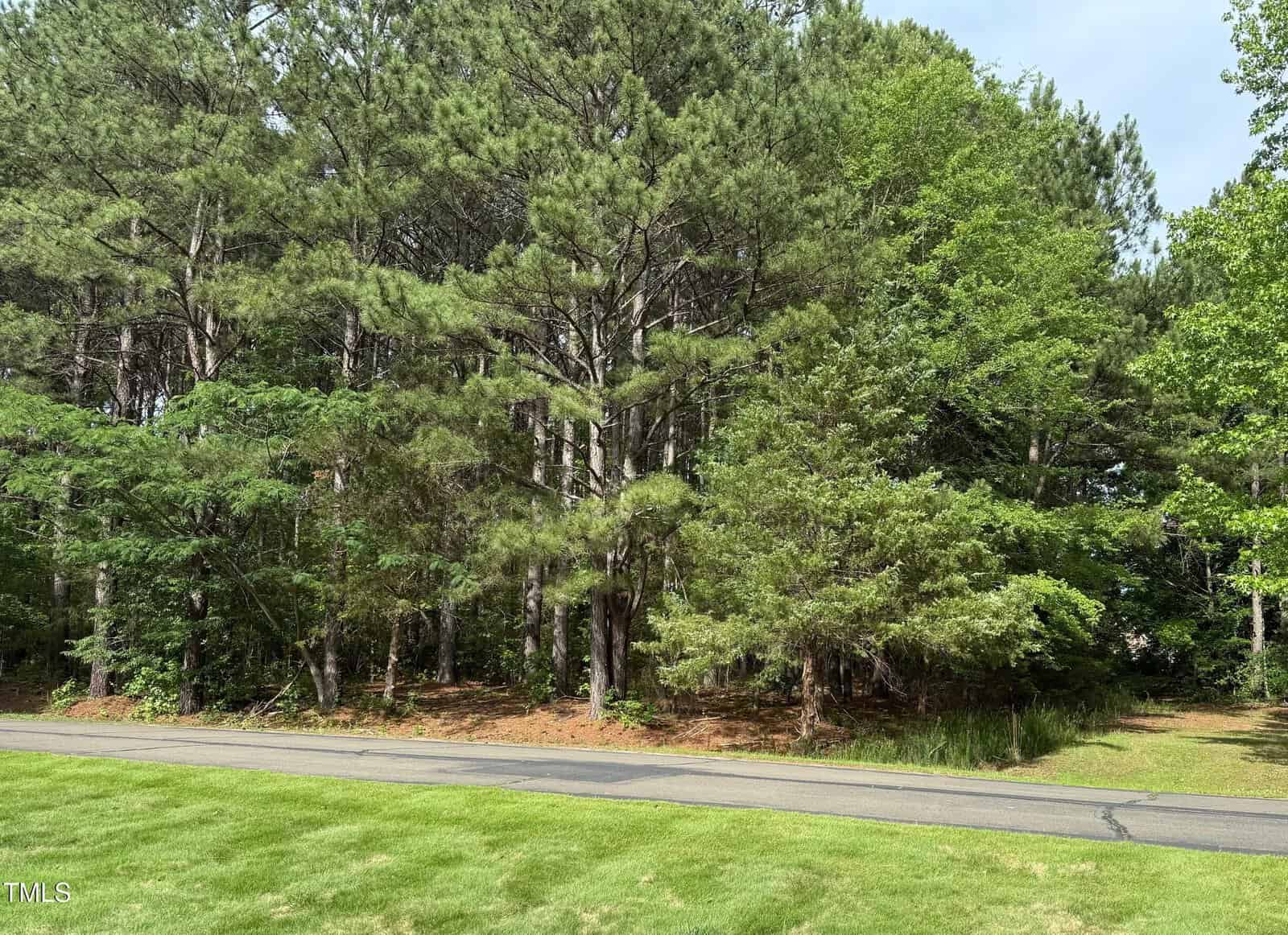 A paved road runs along the edge of a grassy area near 5630 Marian Lane, Oxford, with a dense forest of tall pine and leafy trees in the background under a partly cloudy sky.