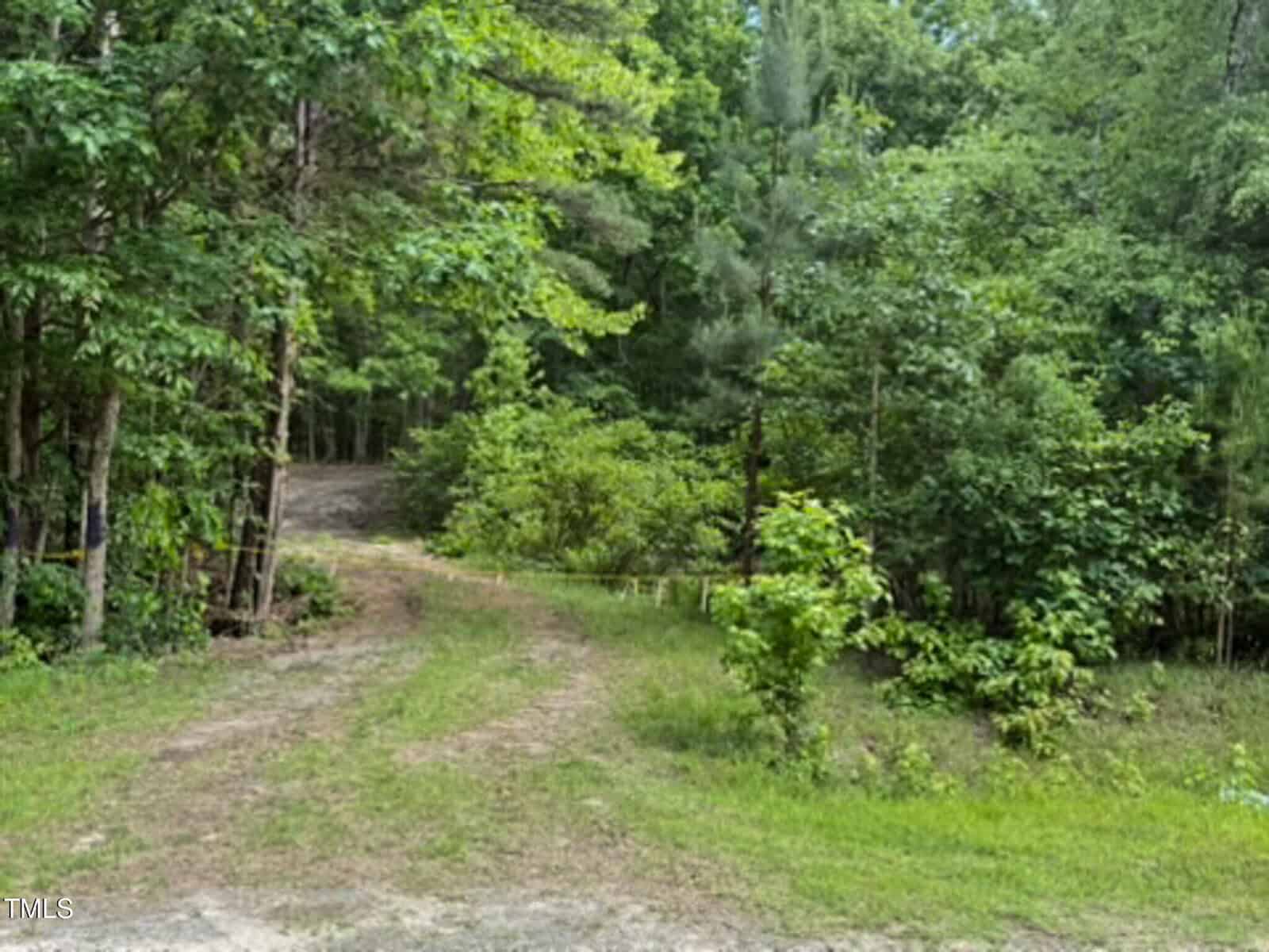 A dirt path curves through a wooded area with dense green trees and shrubs on both sides under natural daylight.