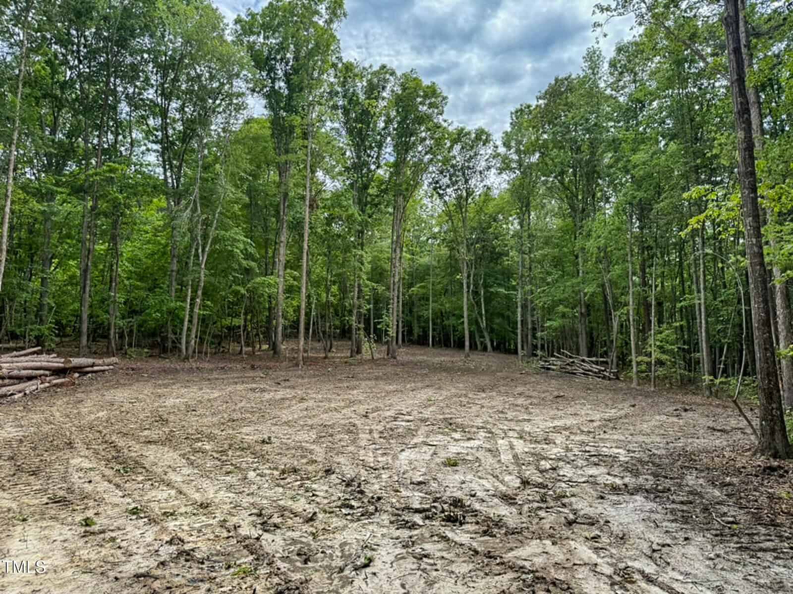A clearing in a forest with tall trees surrounding an area of bare, muddy ground. Some logs are stacked on the left side and a wooden fence runs along the right. The sky above is mostly cloudy.