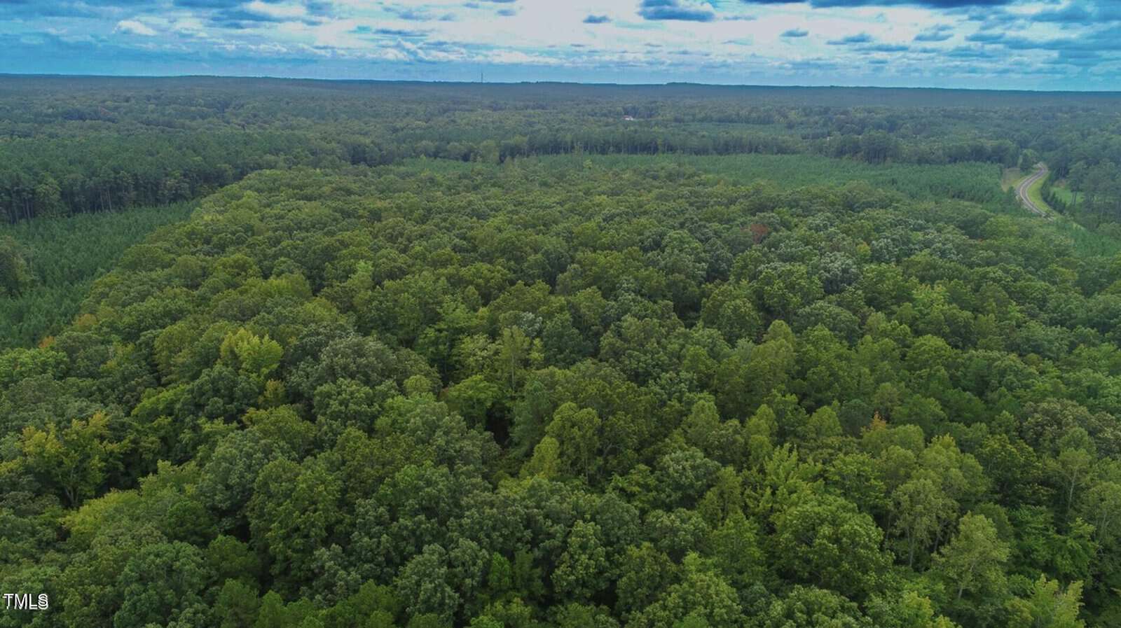 Aerial view of a vast, dense forest with green tree canopies stretching to the horizon under a partly cloudy sky. A winding road is visible on the right side of the image.