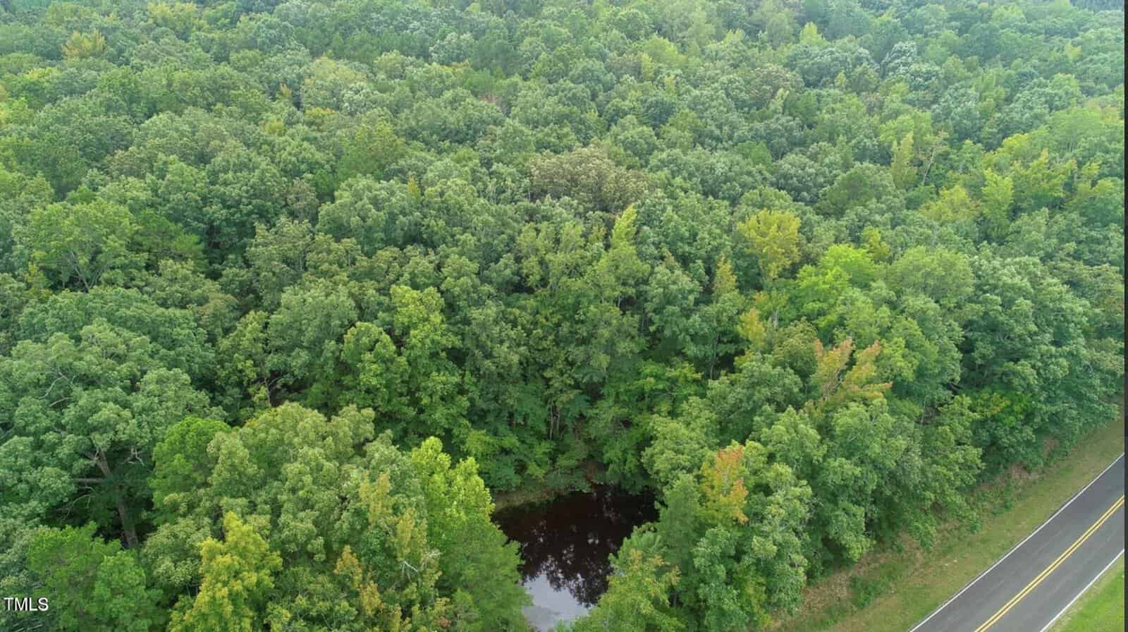 Aerial view of a dense forest with a small pond near the center, bordered by a paved road on the right side. The trees are lush and green, indicating a summer or late spring season.