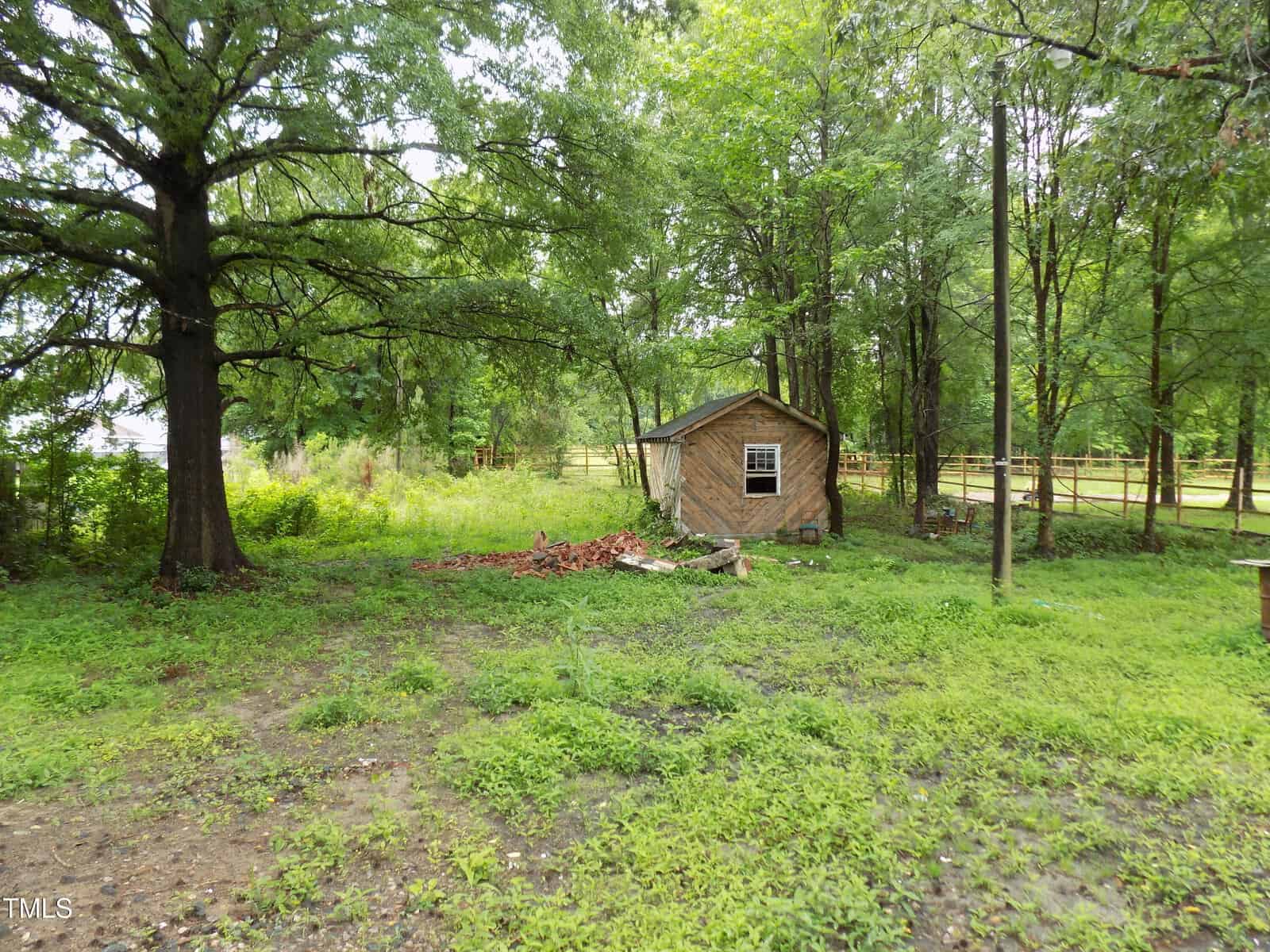 A small wooden shed sits in a grassy yard surrounded by tall trees and a wooden fence. Some logs and debris are visible near the shed, and the sky appears overcast.