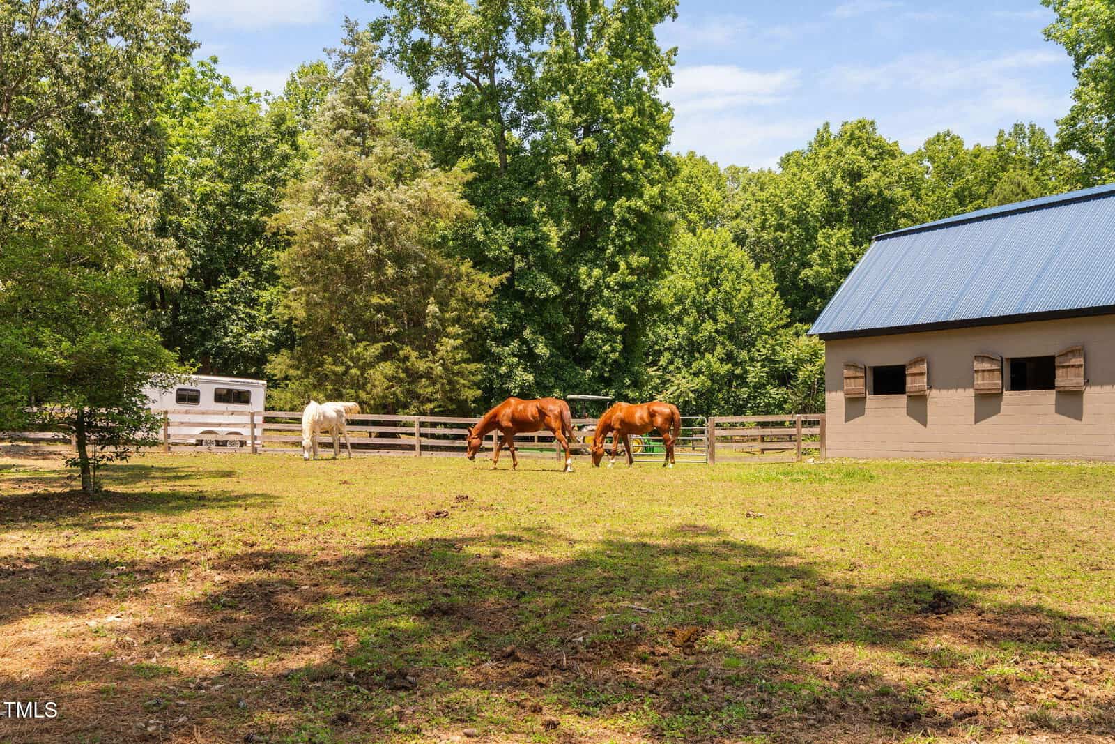 Three horses graze in a fenced pasture near a tan barn with a blue roof. A white horse trailer is parked by trees in the background, under a clear sky surrounded by green, leafy trees.