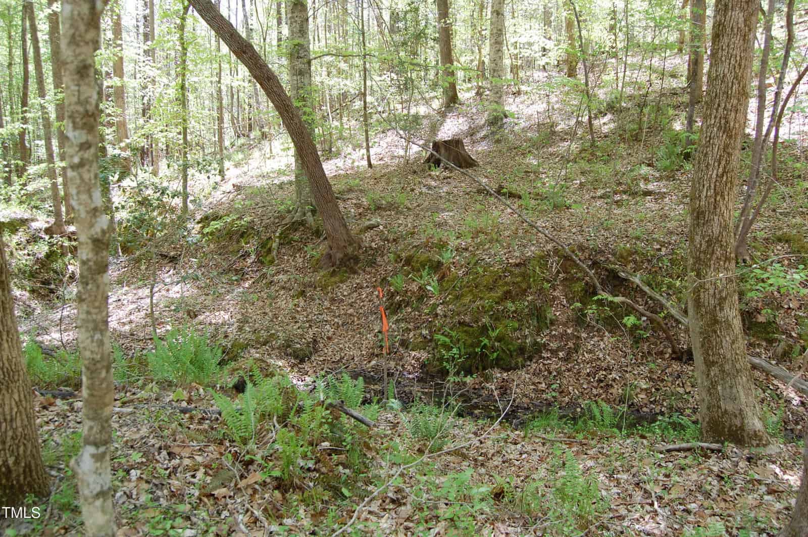 A small trench or creek runs through a wooded area with various trees and underbrush. Ferns grow by the water, and a stick with orange marking tape is placed near the trench. Sunlight filters through the trees.