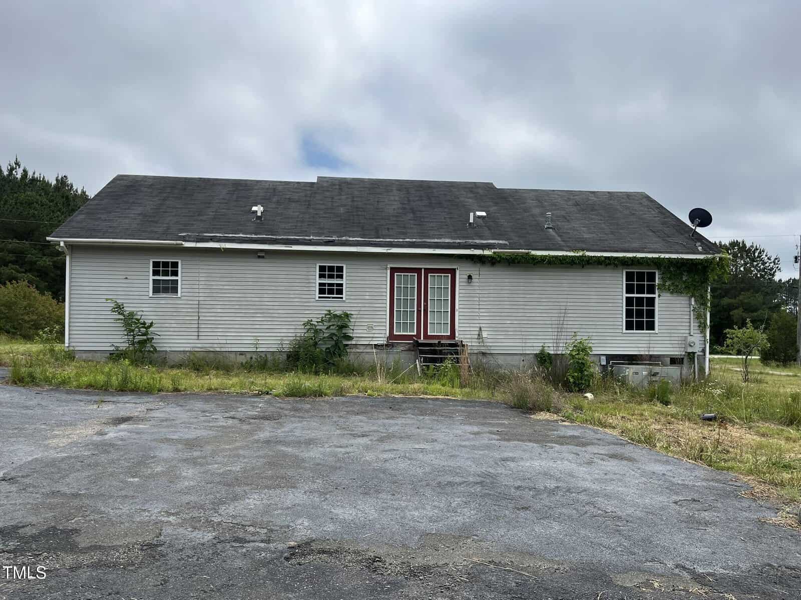 A single-story house with gray siding, black roof, and red-trimmed double doors. A few small plants grow against the foundation, and the driveway and yard appear overgrown and untended.