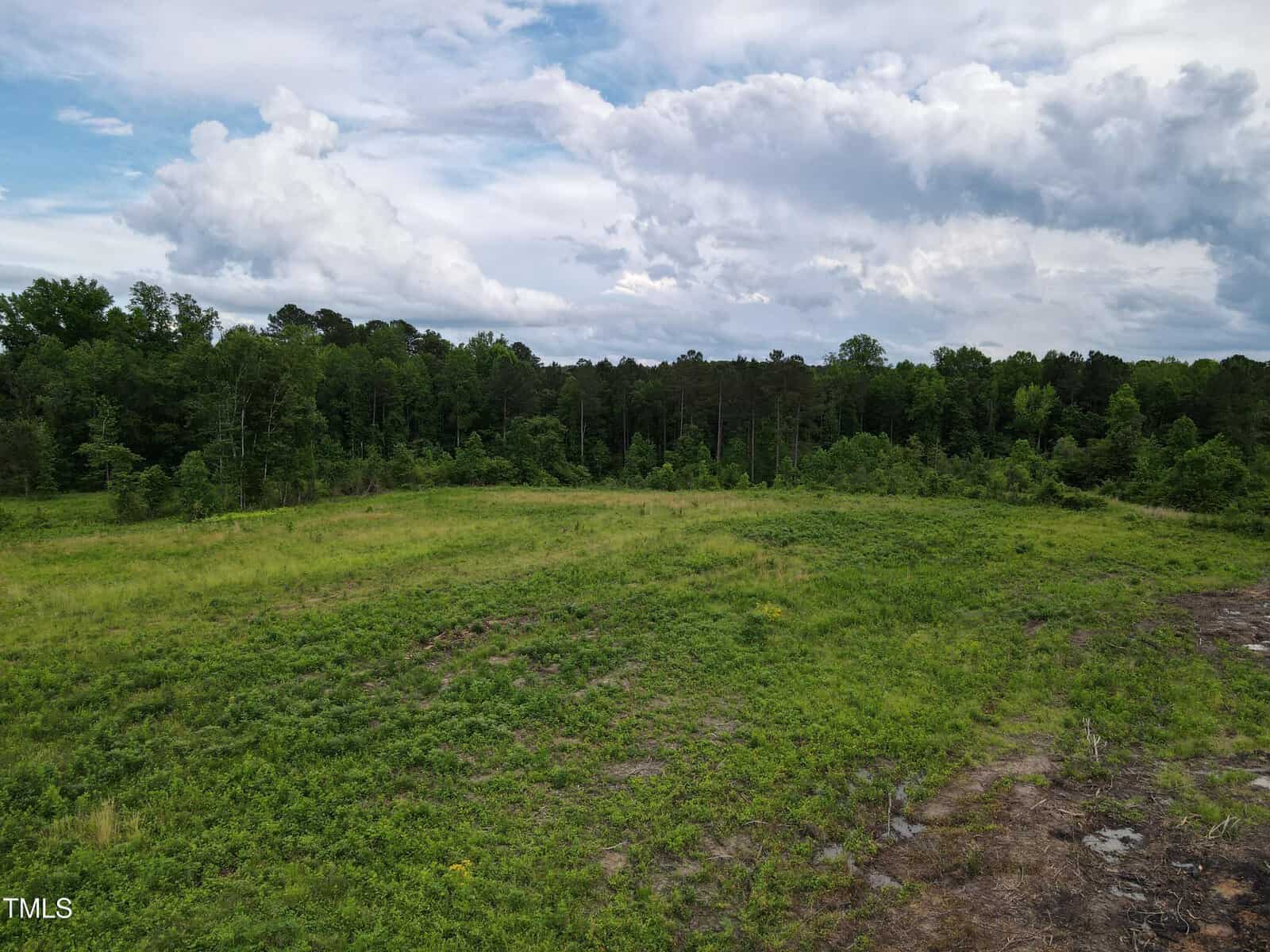 A grassy, open field bordered by dense green trees under a partly cloudy sky. The land appears flat with patches of greenery and some bare soil.