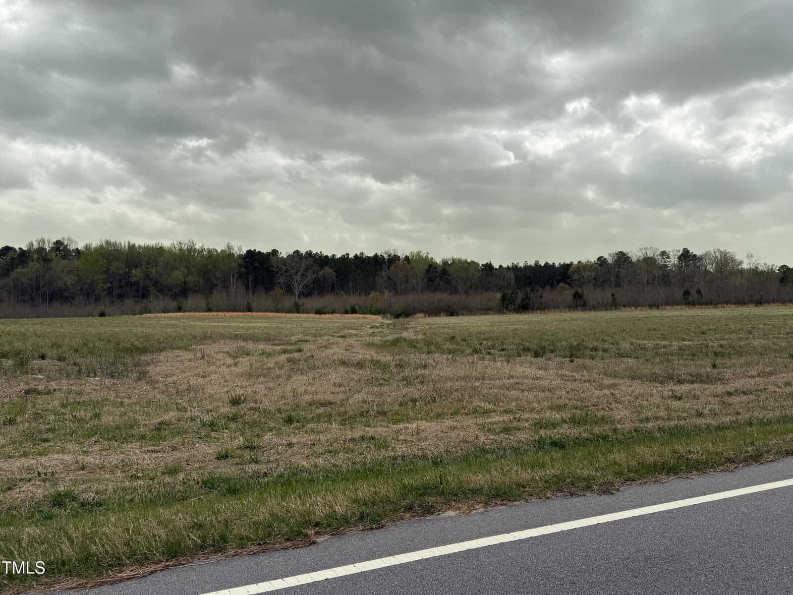 A grassy field with patches of brown and green stretches alongside a paved road under a cloudy, overcast sky. Trees line the background, and the landscape appears flat and open.