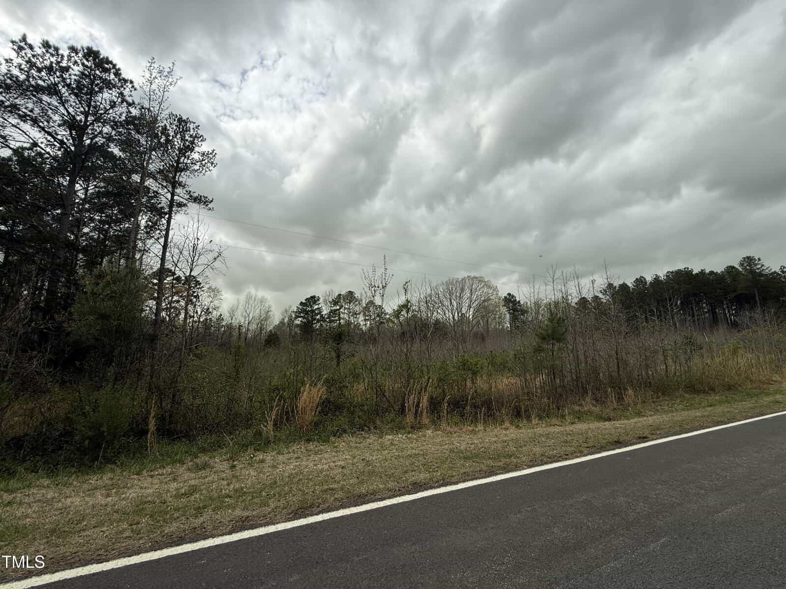 A paved road runs alongside a grassy shoulder and dense, leafless trees and shrubs under a cloudy, overcast sky. The scene appears rural and there are no vehicles or people visible.