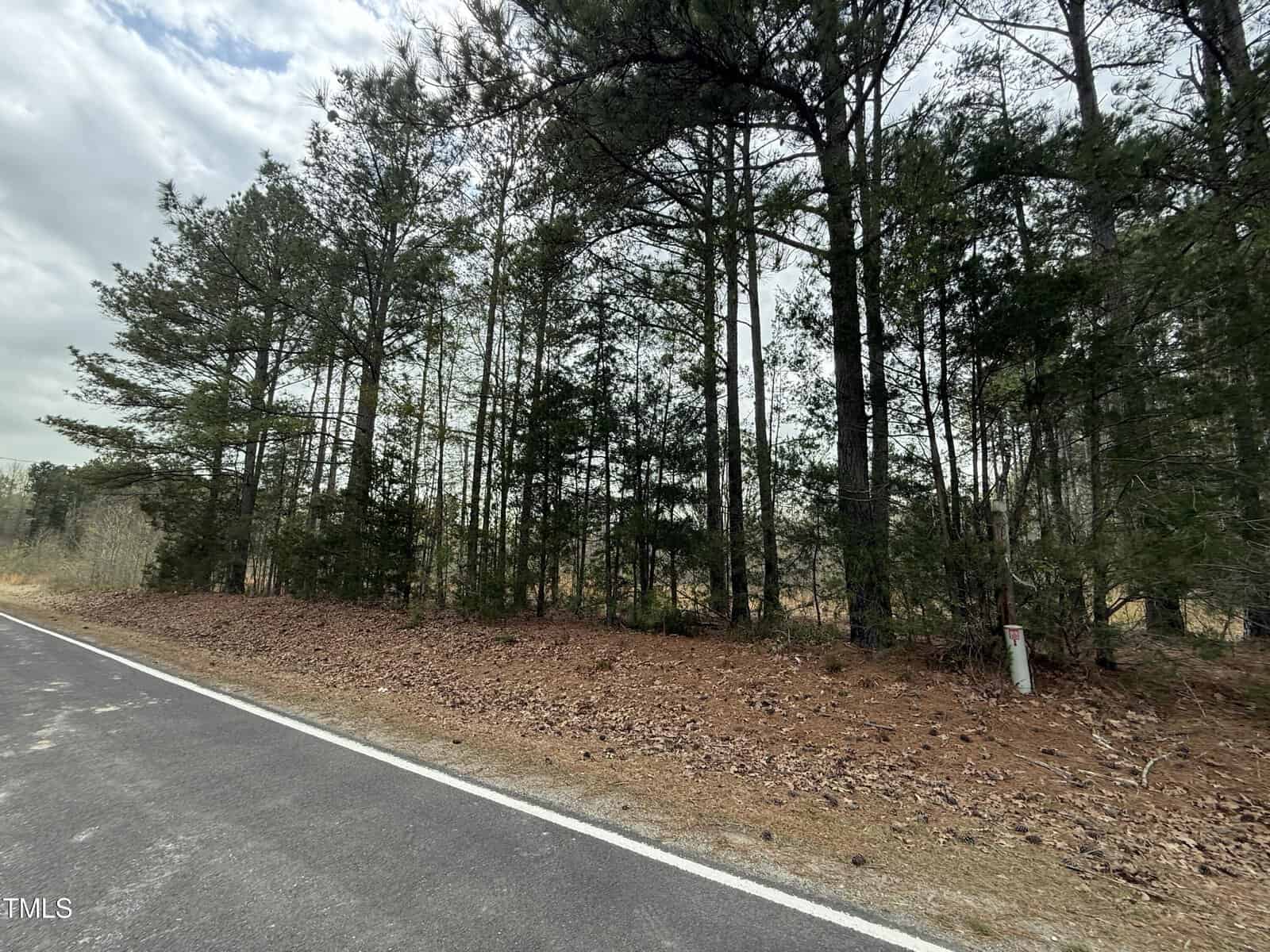 A paved road runs alongside a wooded area with tall trees and a forest floor covered in pine needles and leaves. The sky is cloudy, and a white post is visible near the edge of the woods.
