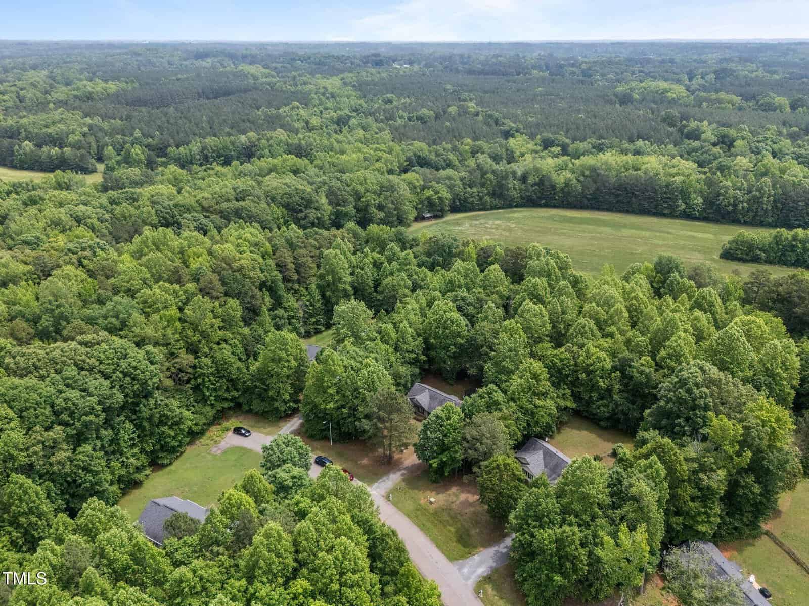 Aerial view of houses nestled among dense green trees with a road winding through, surrounded by forest and open grassy fields under a partly cloudy sky.